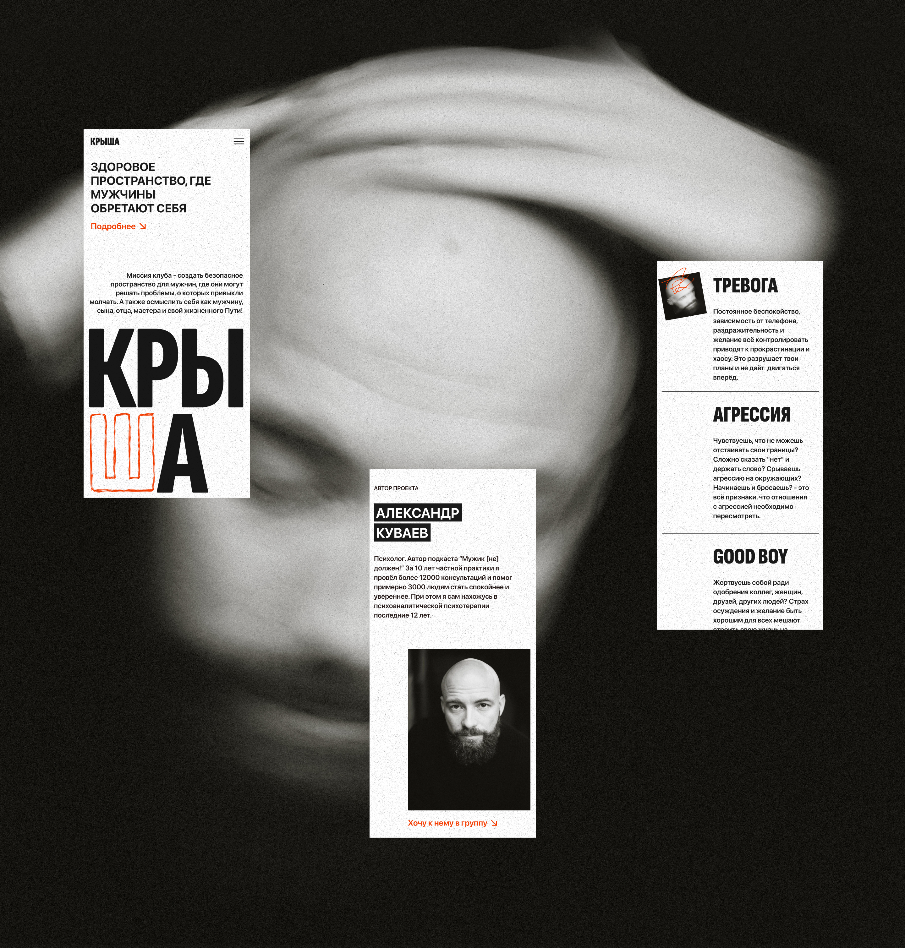 Крыша — Изображение №4 — Интерфейсы, Брендинг на Dprofile