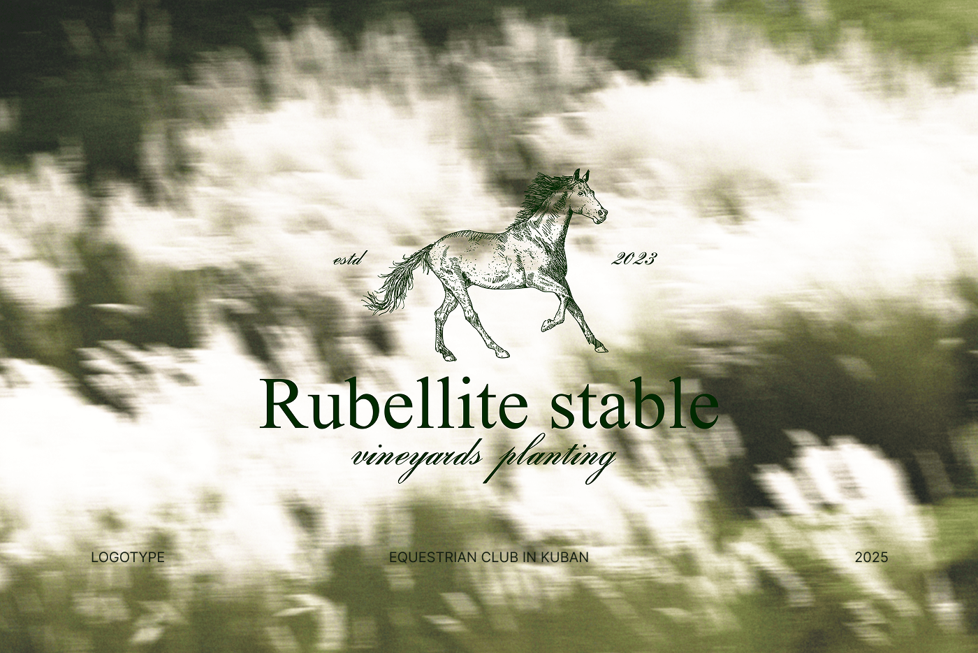 RUBELLITE | LOGOTYPE | ЛОГОТИП — Изображение №1 — Брендинг на Dprofile