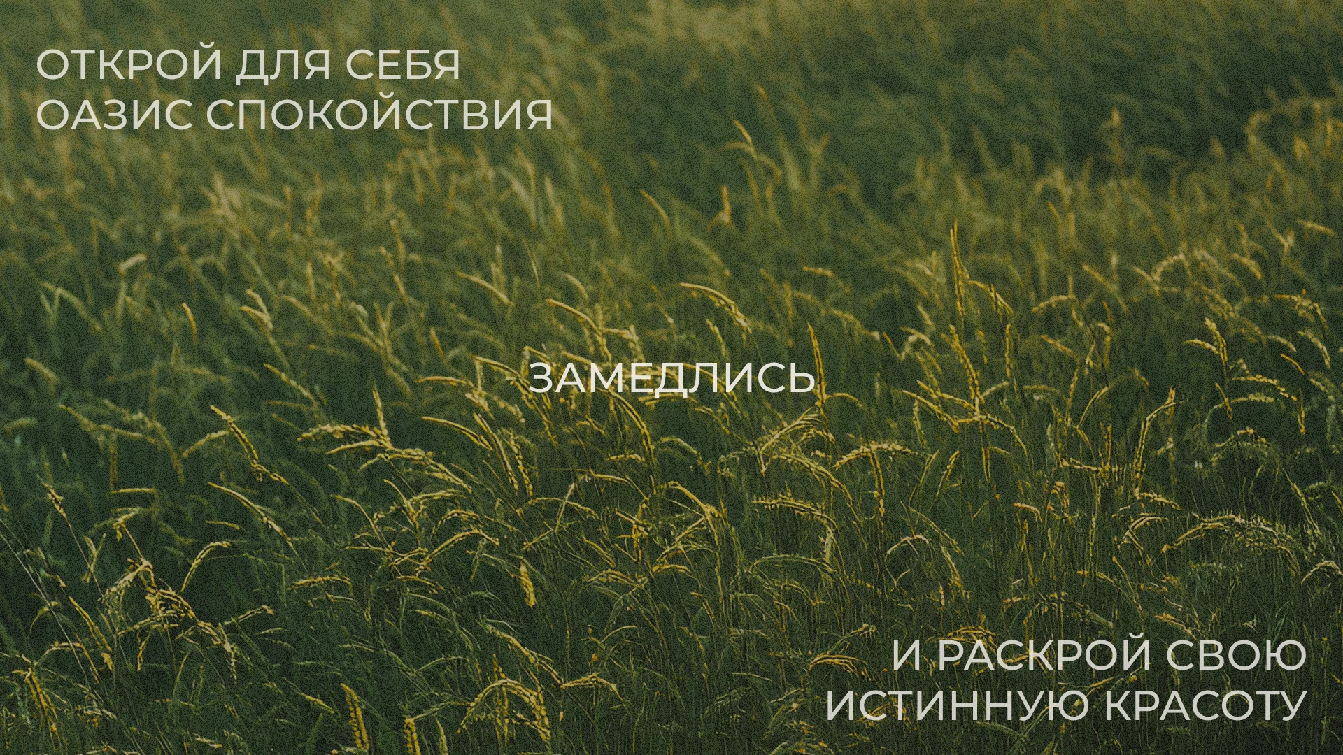 BEAUARINI | Айдентика для бьюти студии — Изображение №12 — Брендинг на Dprofile