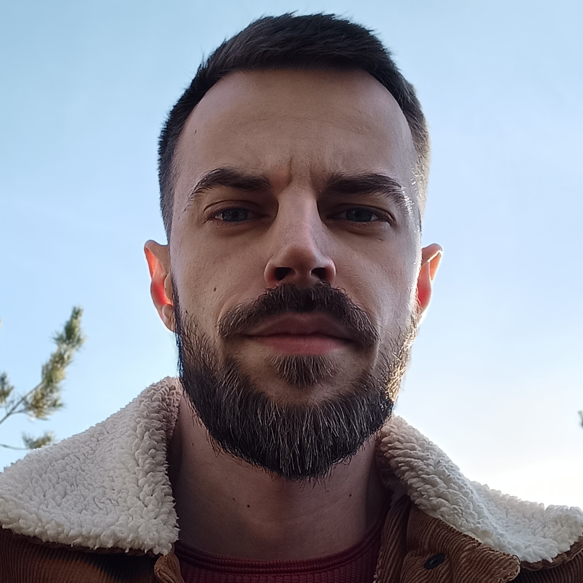 Аватар пользователя Лев Сильченко