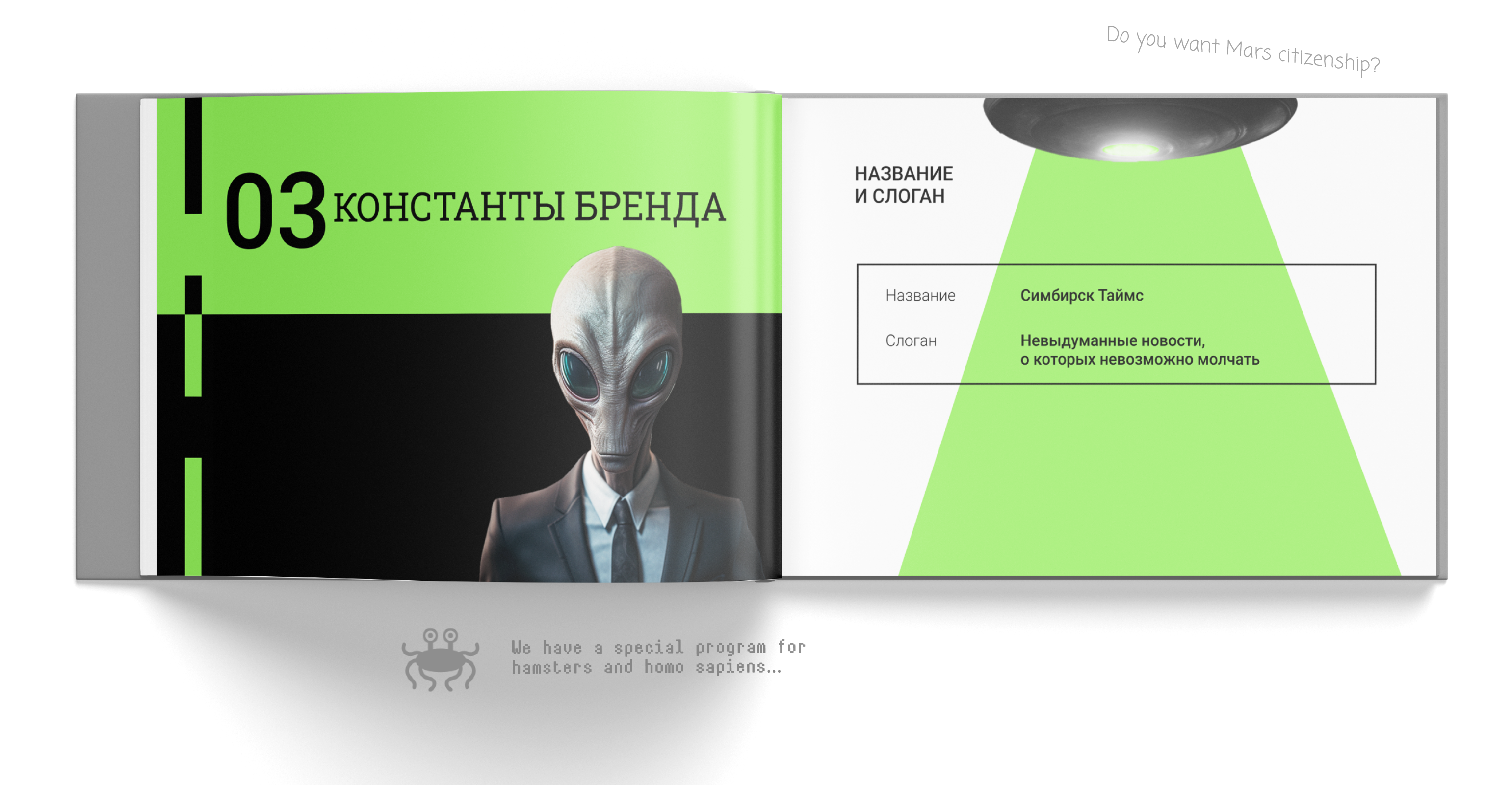 Симбирск Таймс брендинг — Изображение №9 — Брендинг на Dprofile