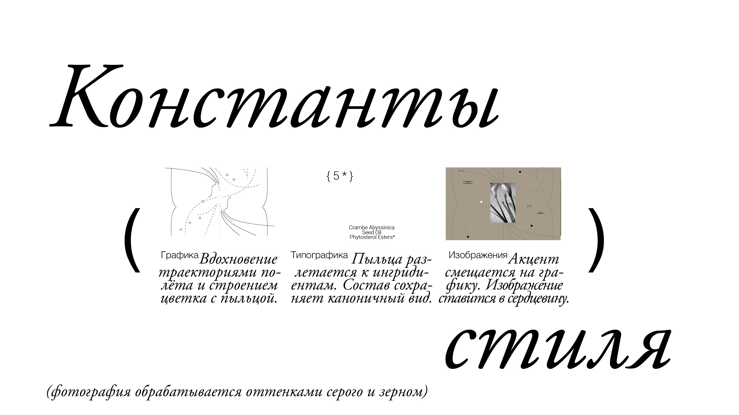 Брендинг и упаковка для косметики Bunch — Изображение №31 — Брендинг на Dprofile