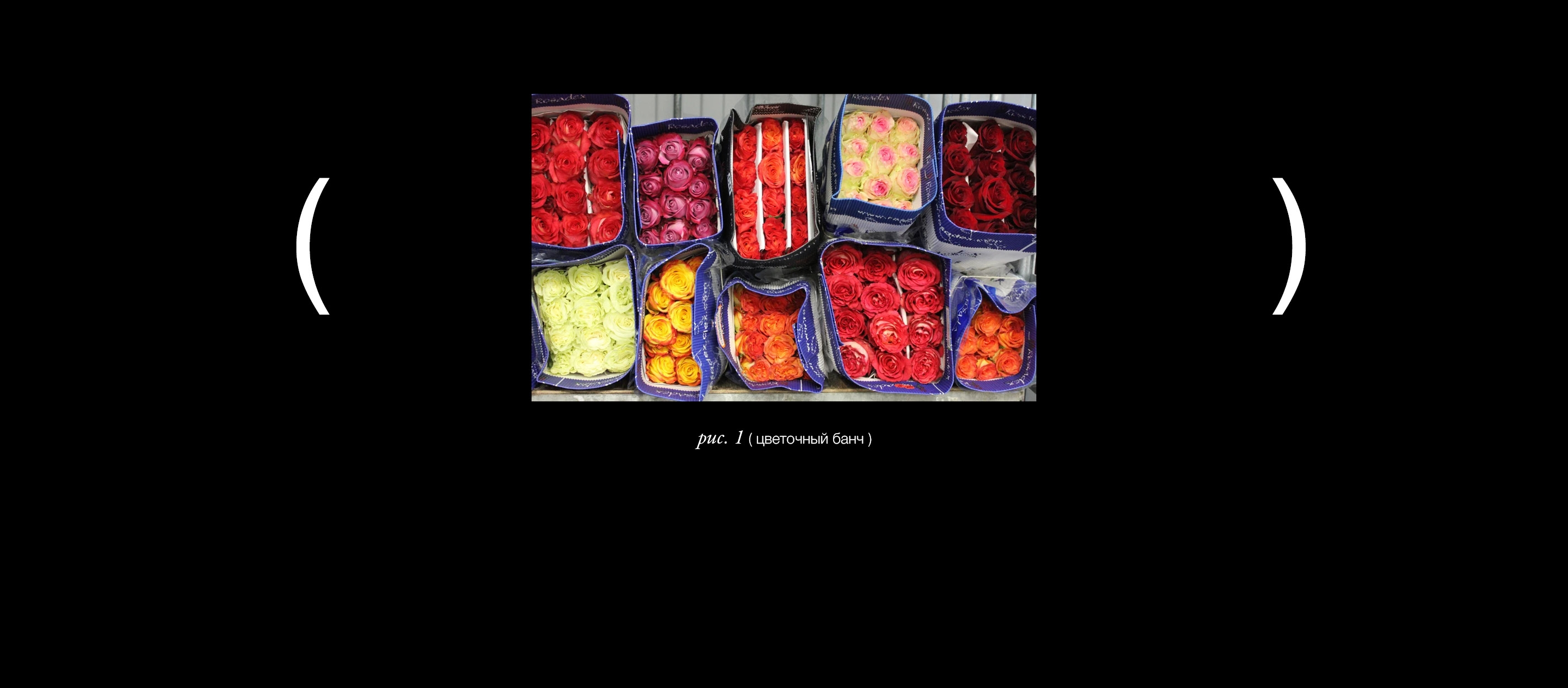 Брендинг и упаковка для косметики Bunch — Изображение №17 — Брендинг на Dprofile