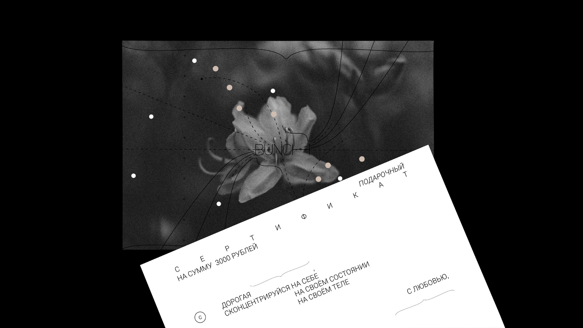 Брендинг и упаковка для косметики Bunch — Изображение №47 — Брендинг на Dprofile