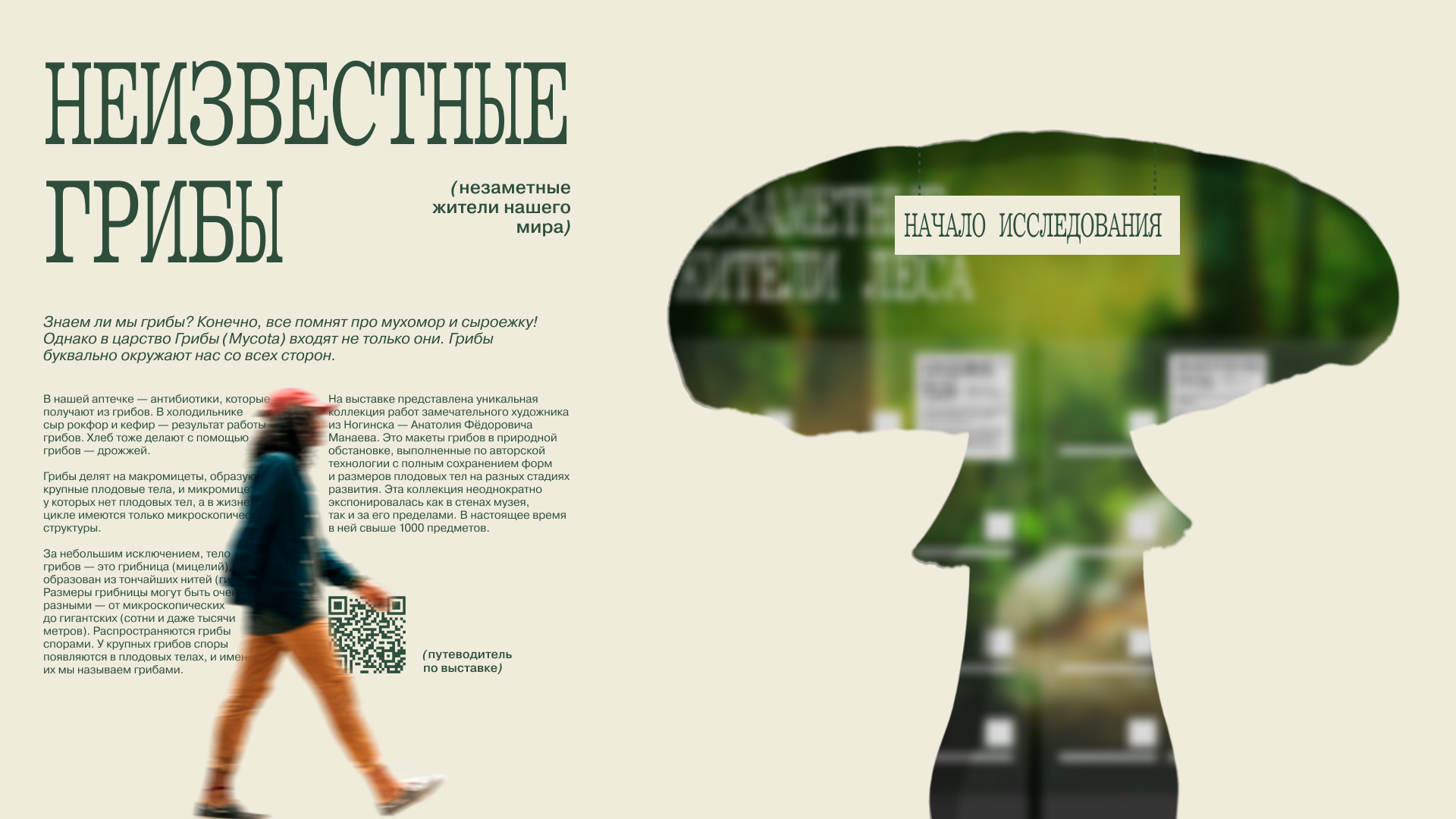 Айдентика для выставки «Грибы неизвестные» — Изображение №5 — Брендинг на Dprofile