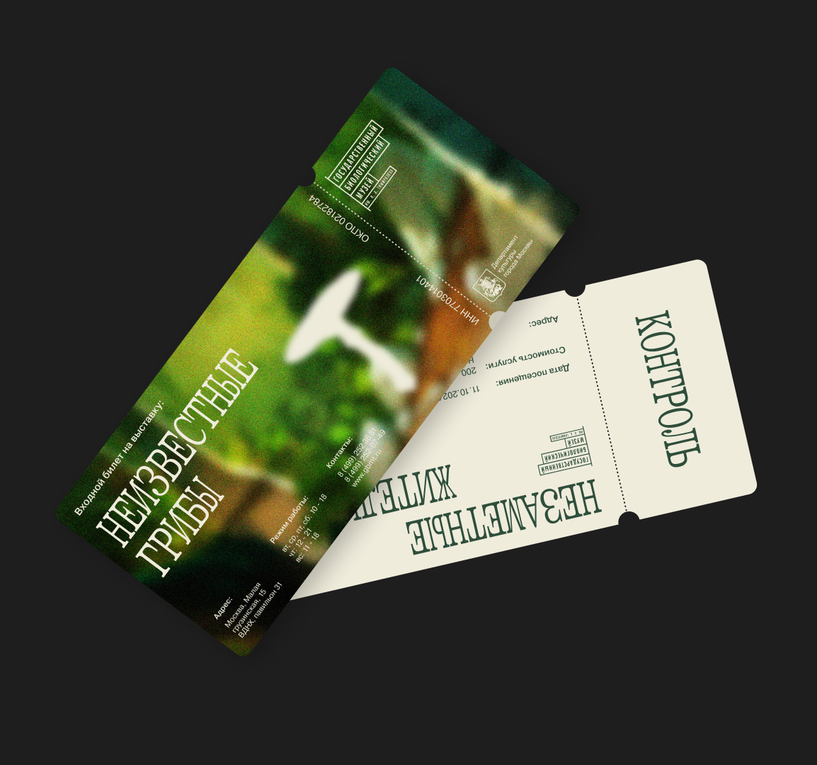 Айдентика для выставки «Грибы неизвестные» — Изображение №3 — Брендинг на Dprofile