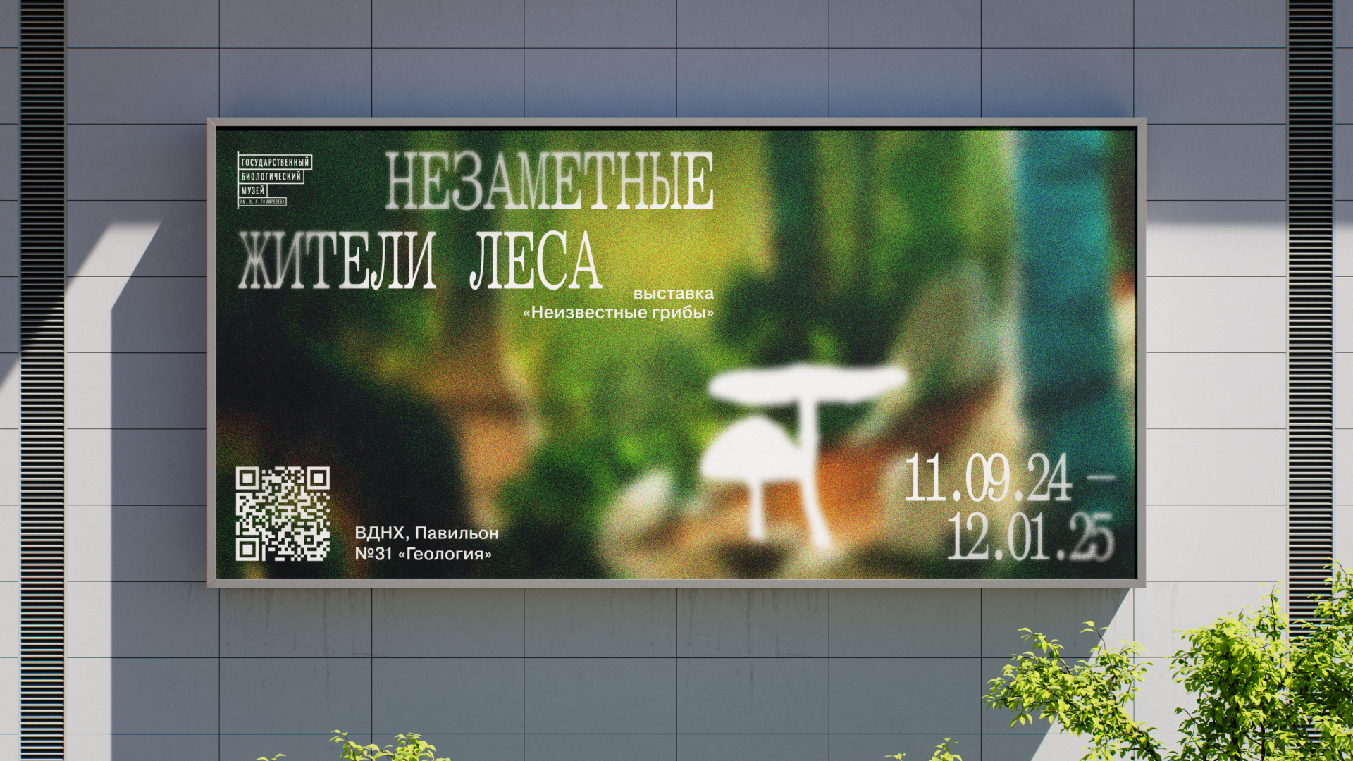 Айдентика для выставки «Грибы неизвестные» — Изображение №2 — Брендинг на Dprofile