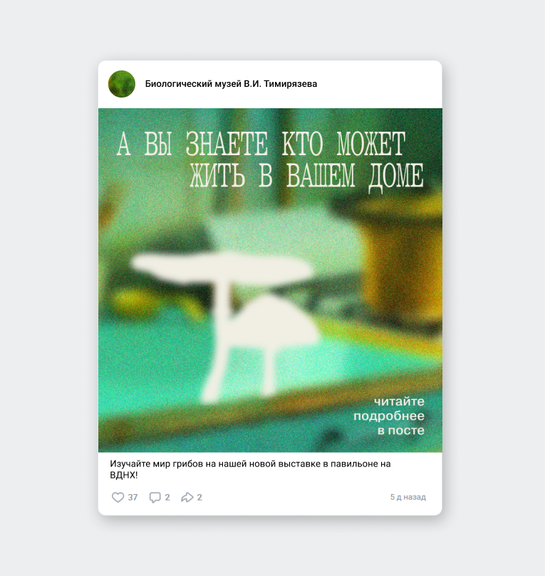 Айдентика для выставки «Грибы неизвестные» — Изображение №12 — Брендинг на Dprofile