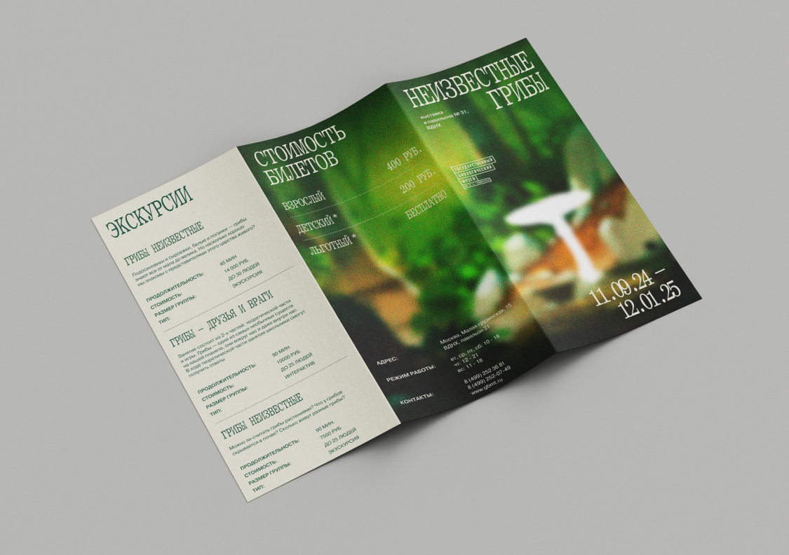 Айдентика для выставки «Грибы неизвестные» — Изображение №10 — Брендинг на Dprofile