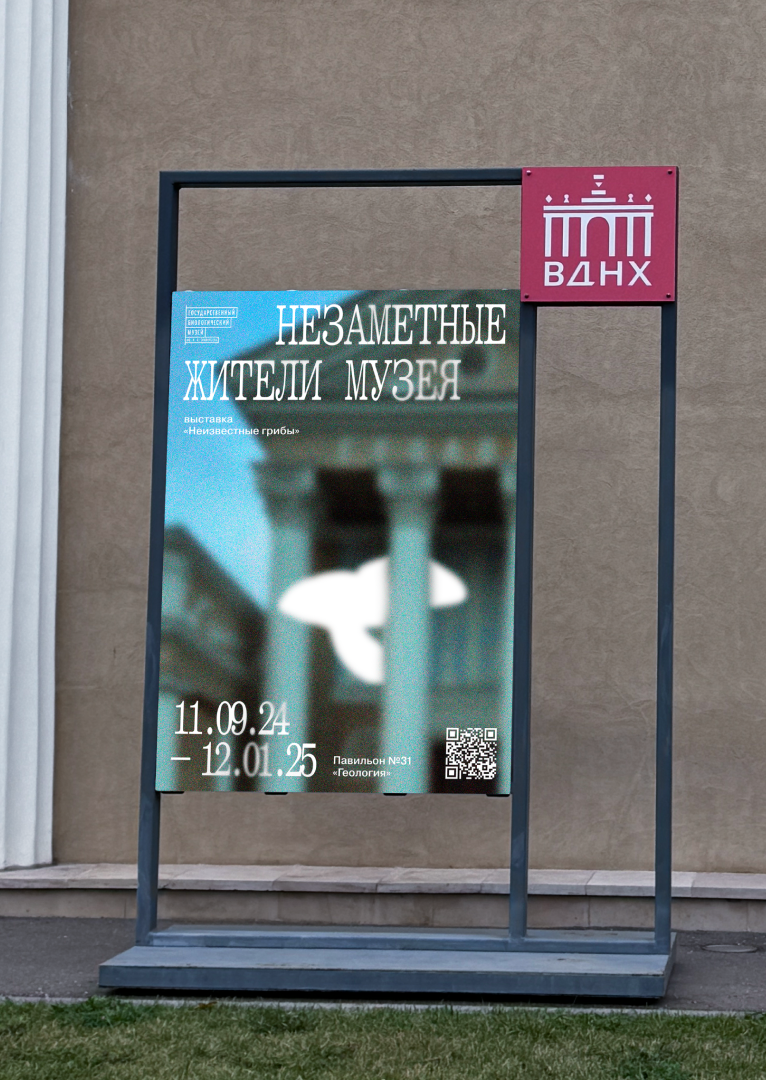 Айдентика для выставки «Грибы неизвестные» — Изображение №4 — Брендинг на Dprofile