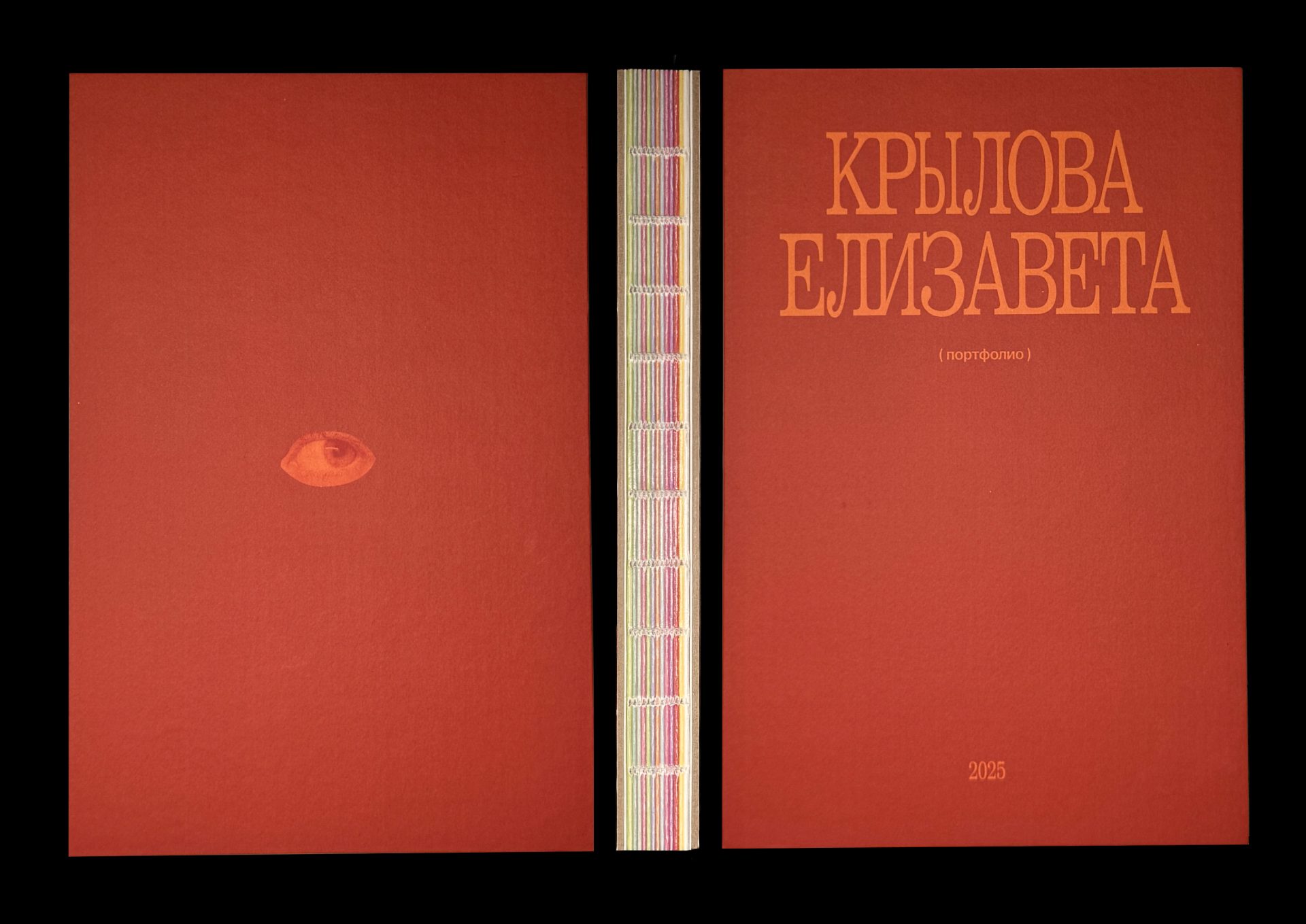 Книга-портфолио — Изображение №1 — Графика на Dprofile
