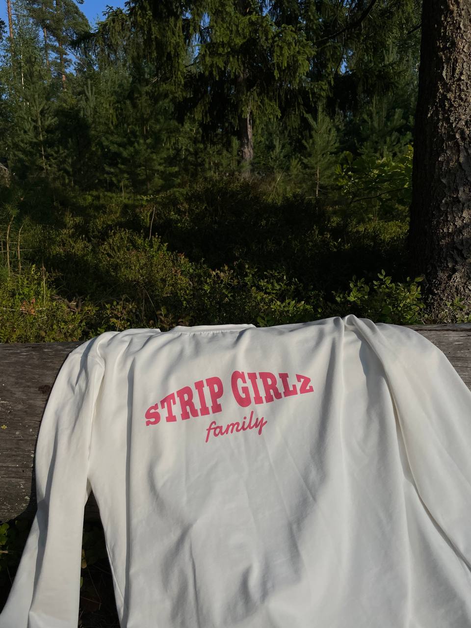 Фирменный стиль STRIP GIRLZ FAMILY — Изображение №6 — Брендинг на Dprofile