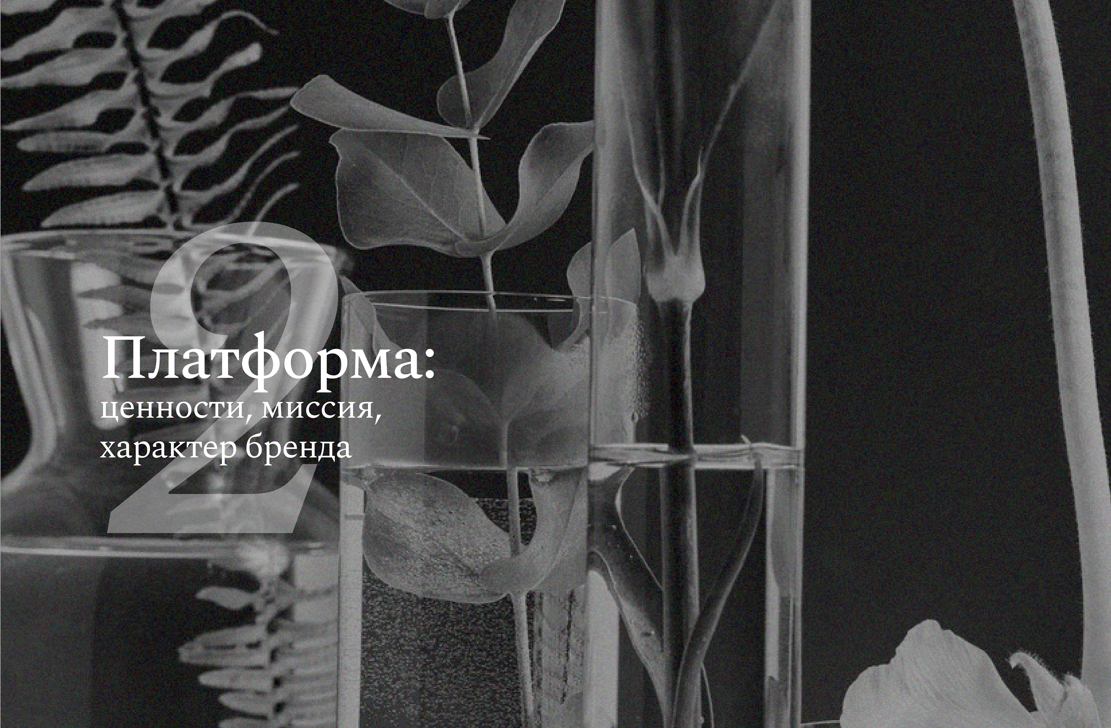 Dietary supplements branding / Брендбук БАДы и витамины — Изображение №5 — Брендинг на Dprofile