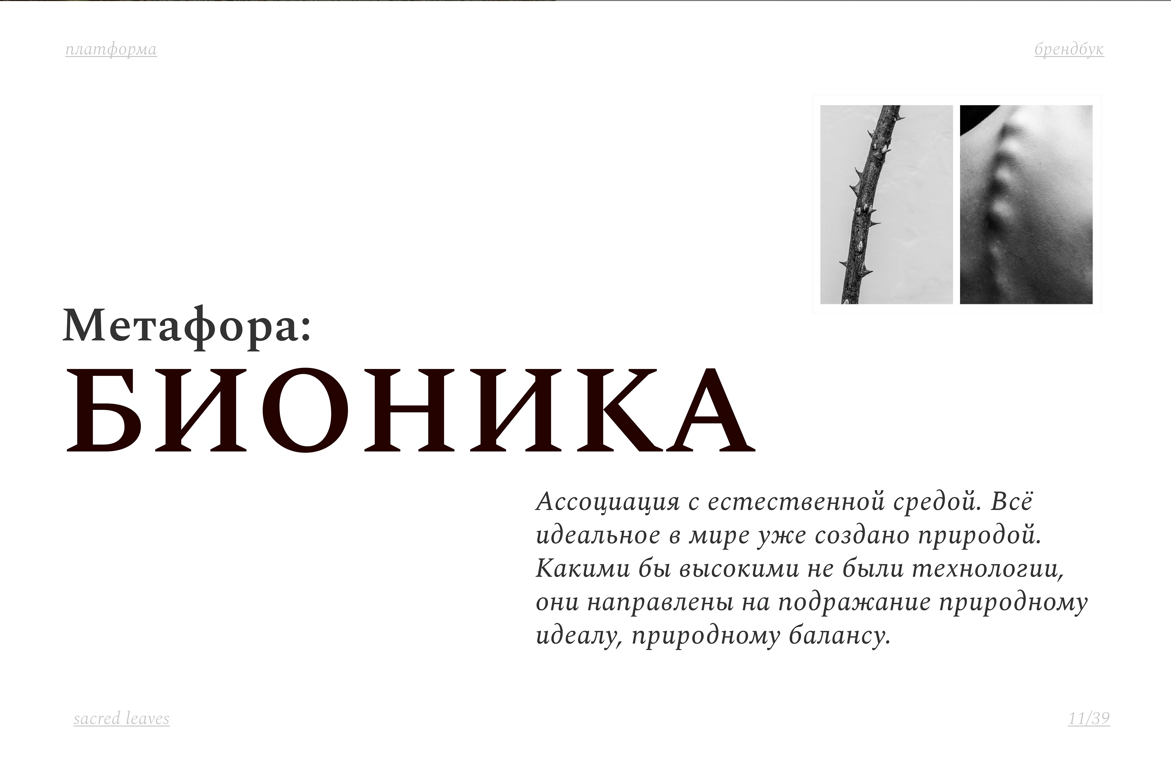 Dietary supplements branding / Брендбук БАДы и витамины — Изображение №8 — Брендинг на Dprofile