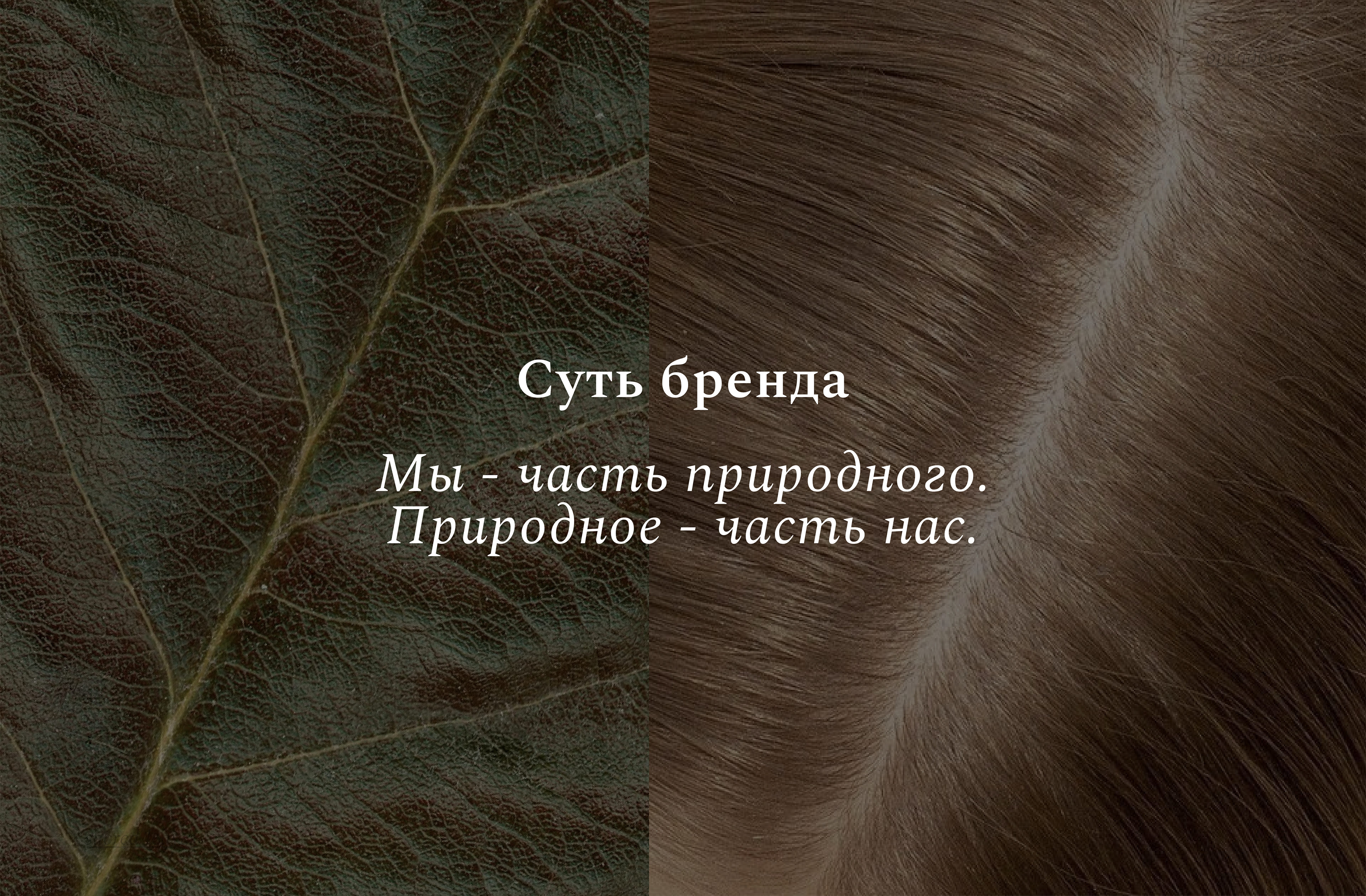 Dietary supplements branding / Брендбук БАДы и витамины — Изображение №7 — Брендинг на Dprofile