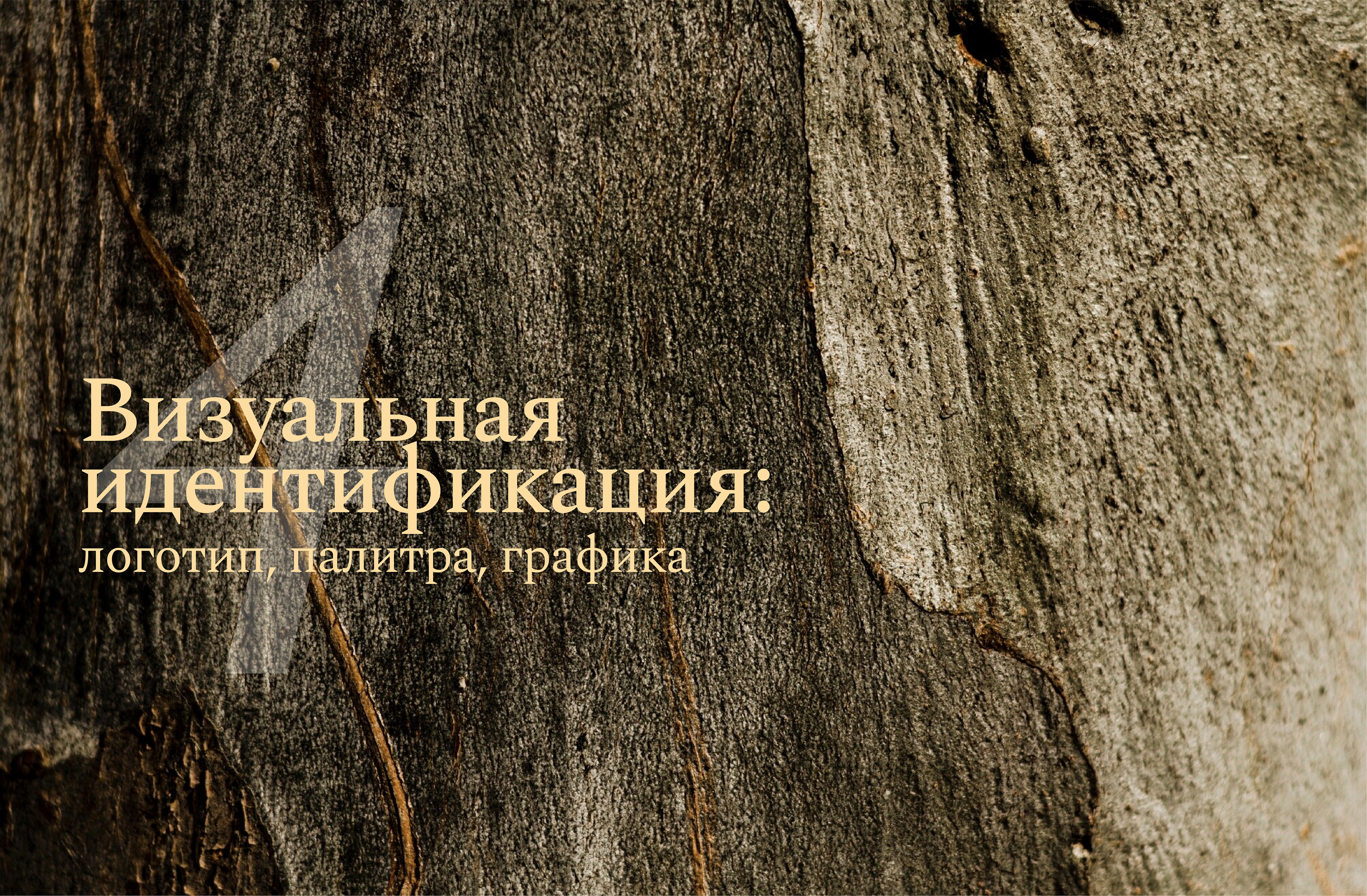 Dietary supplements branding / Брендбук БАДы и витамины — Изображение №12 — Брендинг на Dprofile