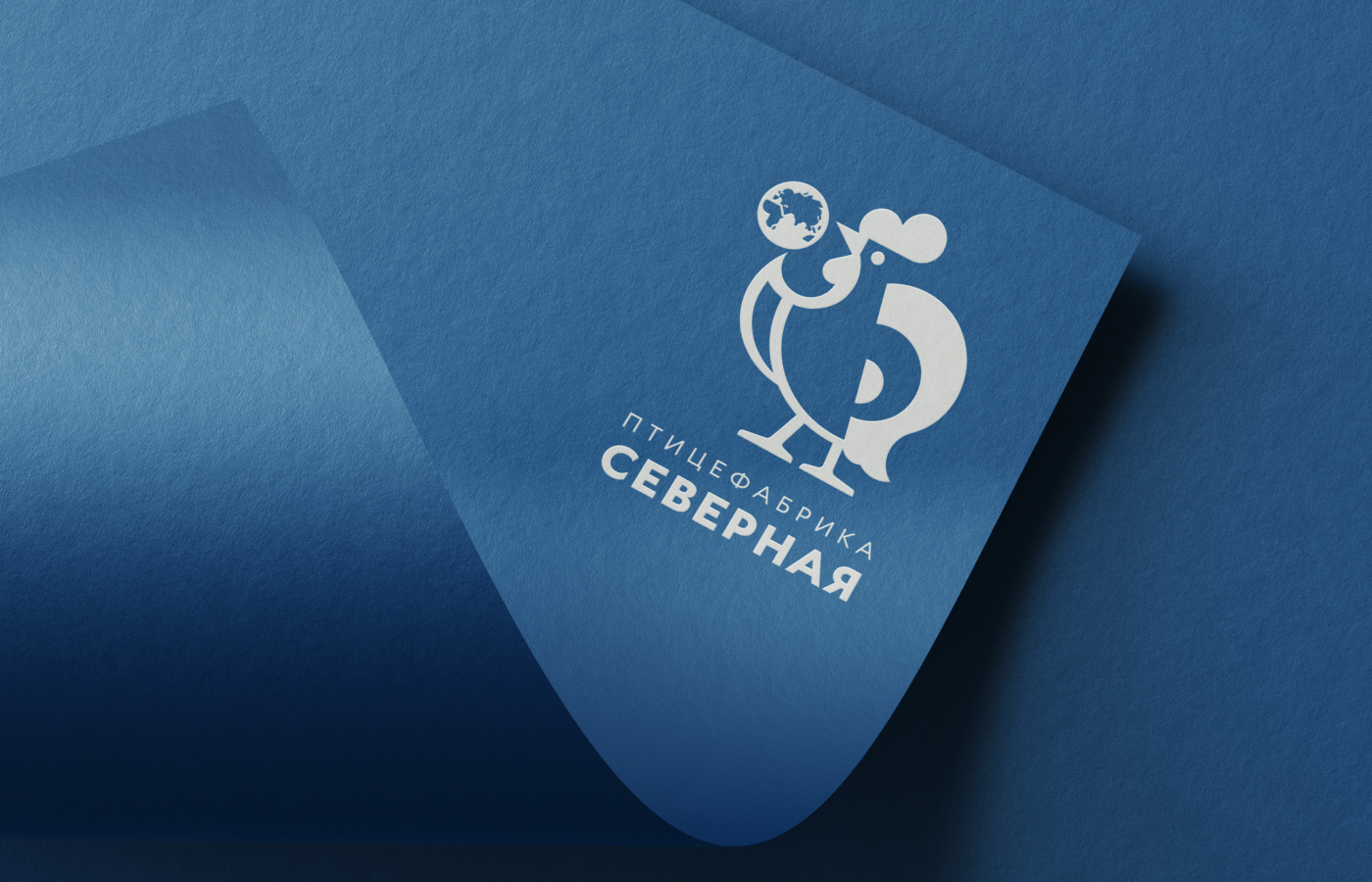 Фирменный стиль «Птицефабрика Северная» — Изображение №1 — Брендинг, Графика на Dprofile