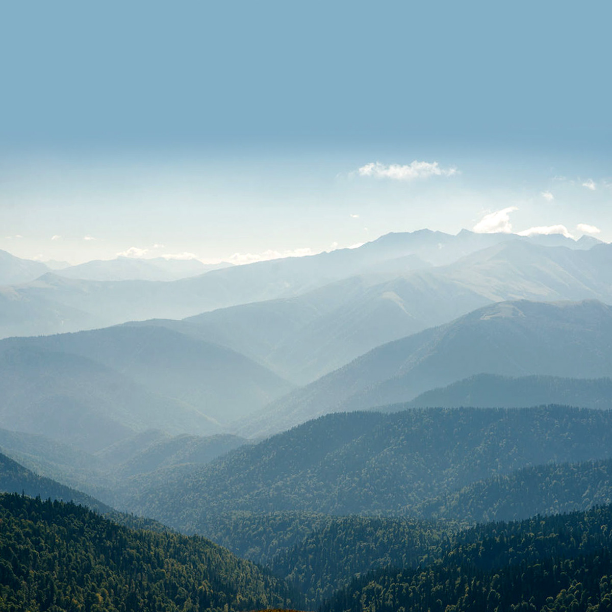 Премиальный бренд традиционных адыгейских сыров — Изображение №2 — Брендинг на Dprofile