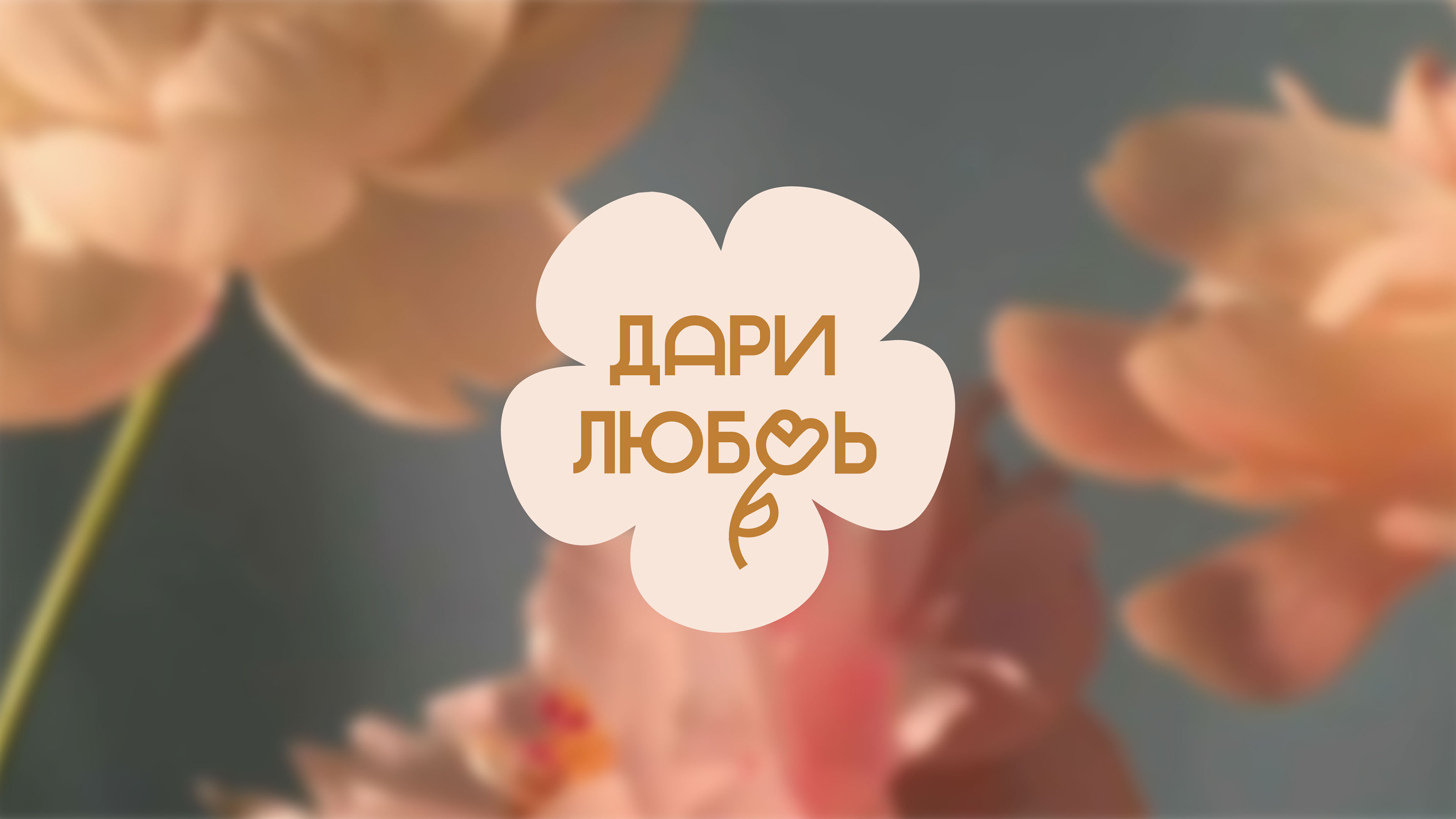 ДАРИ ЛЮБОВЬ | FLOWER BOUTIQUE — Изображение №1 — Брендинг на Dprofile