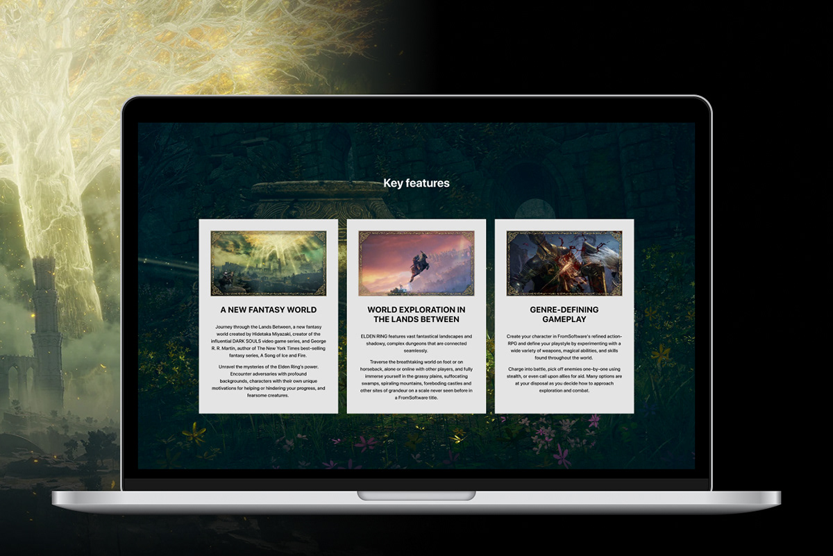 ELDEN RING Landing page Redesign Concept Concept — Изображение №4 — Интерфейсы, Графика на Dprofile