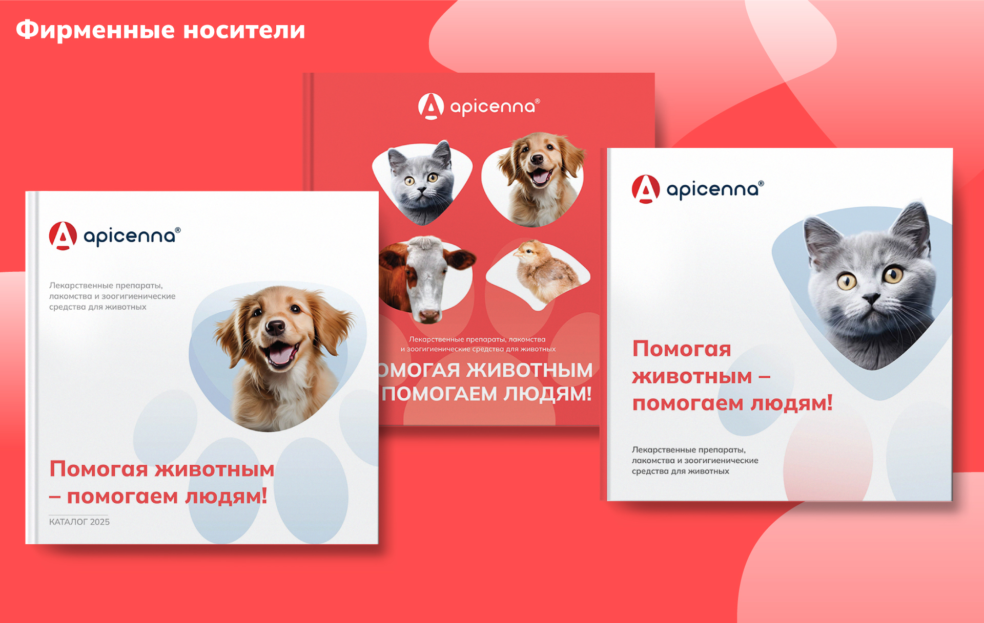 APICENNA — Изображение №3 — Брендинг, Анимация на Dprofile
