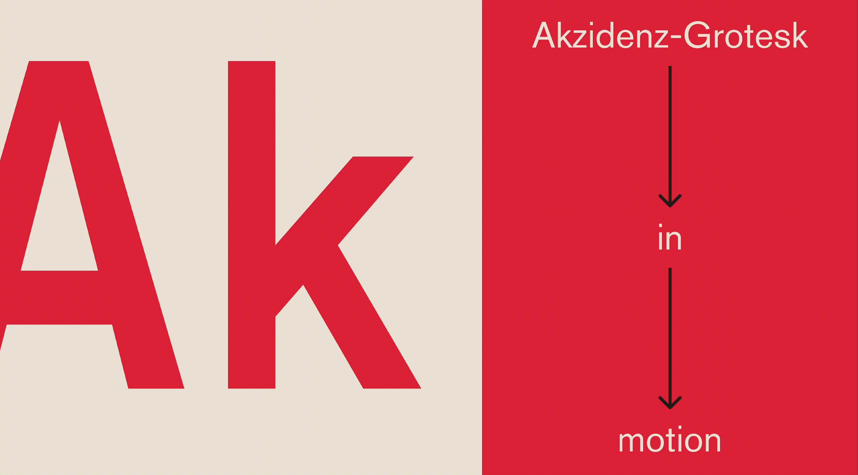 Akzidenz-Grotesk — Изображение №5 — Брендинг, Графика на Dprofile