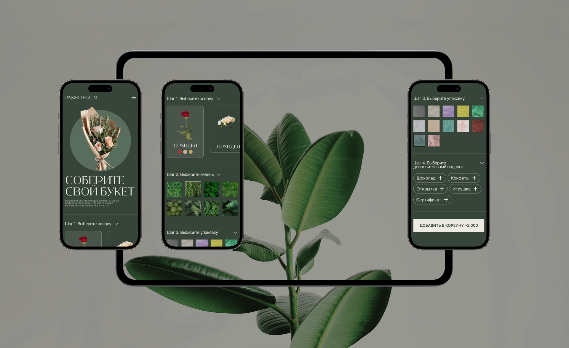 PASSIFLORIUM | E-commerce design — Изображение №12 — Интерфейсы на Dprofile