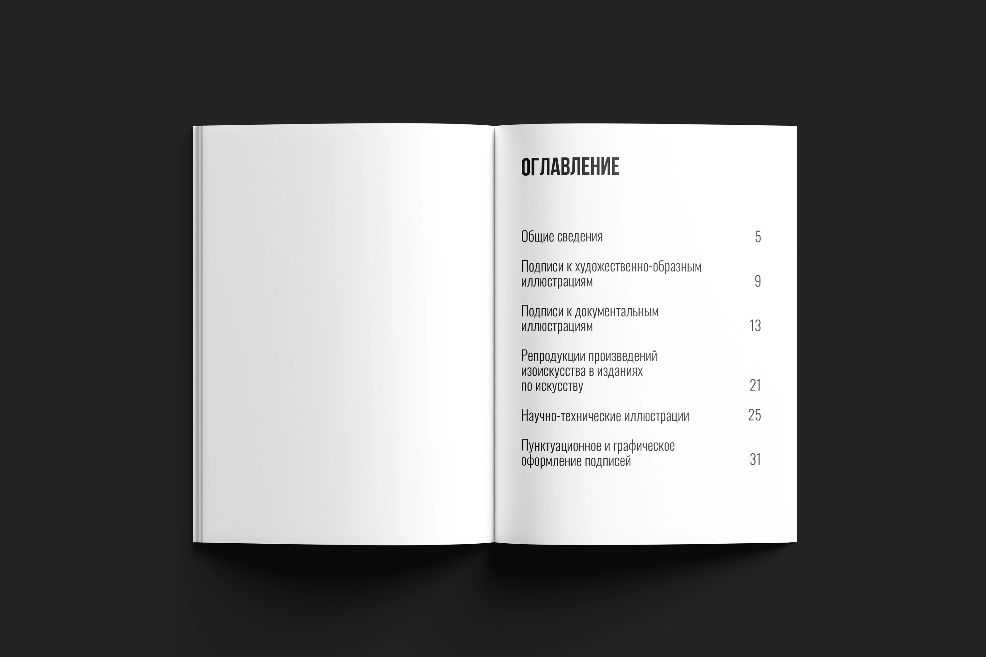 Брошюра "Подписи к иллюстрациям" — Изображение №2 — Графика на Dprofile