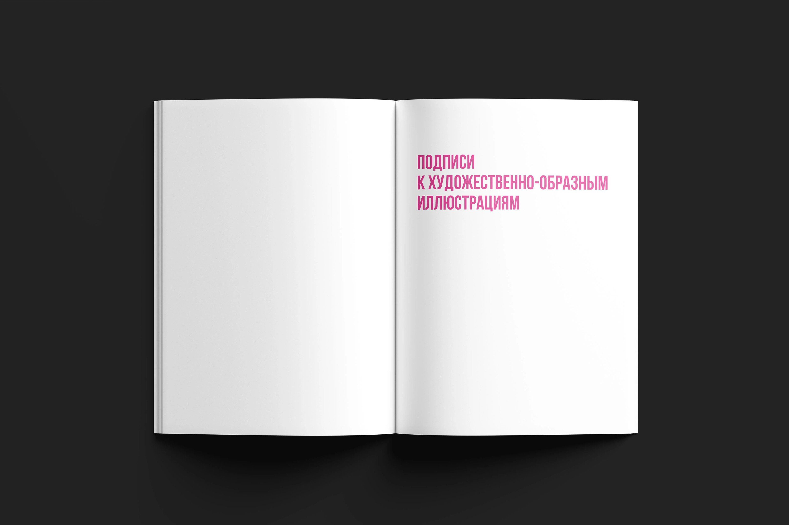 Брошюра "Подписи к иллюстрациям" — Изображение №5 — Графика на Dprofile