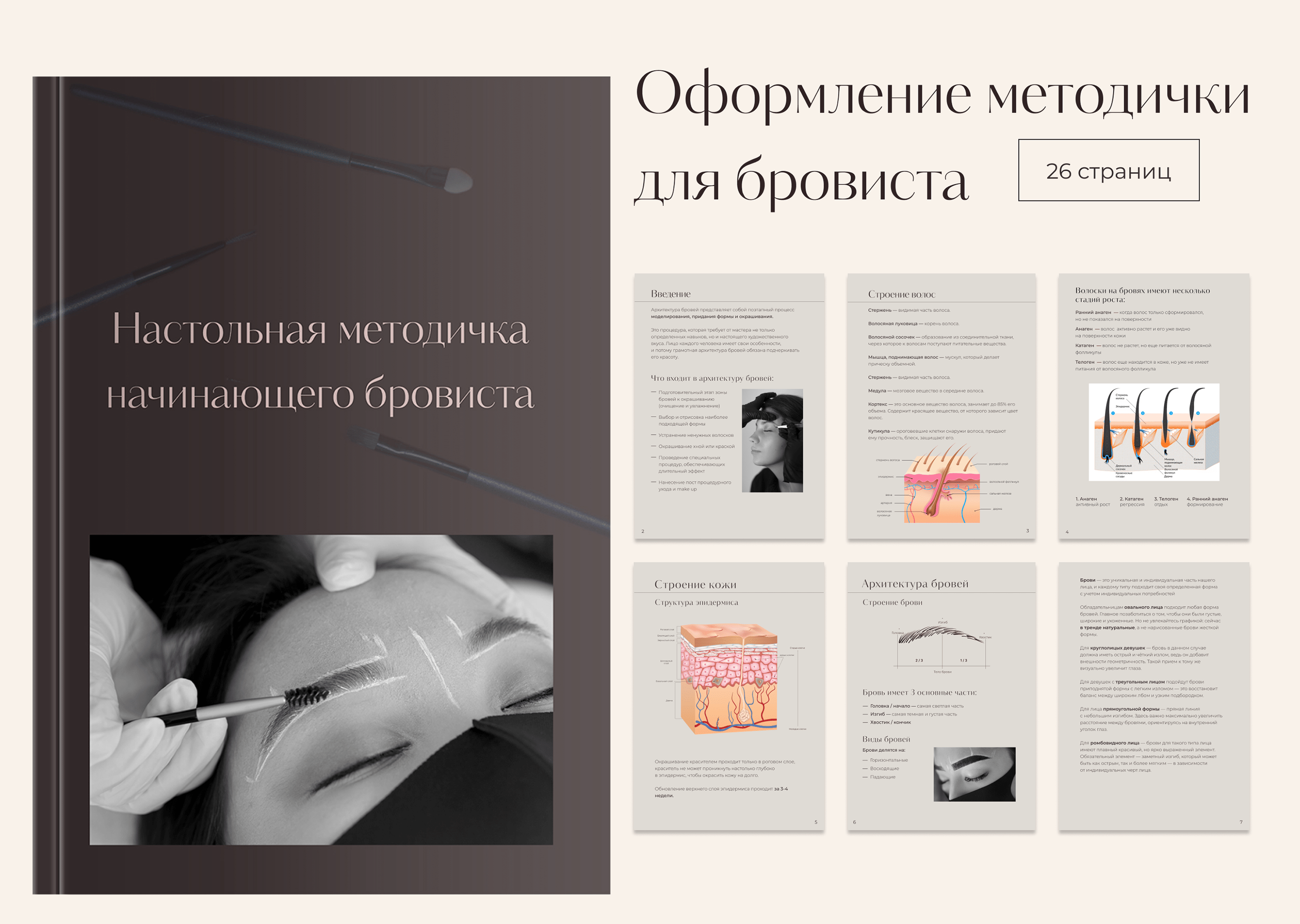 Дизайн методички для бровиста — Изображение №1 — Графика на Dprofile