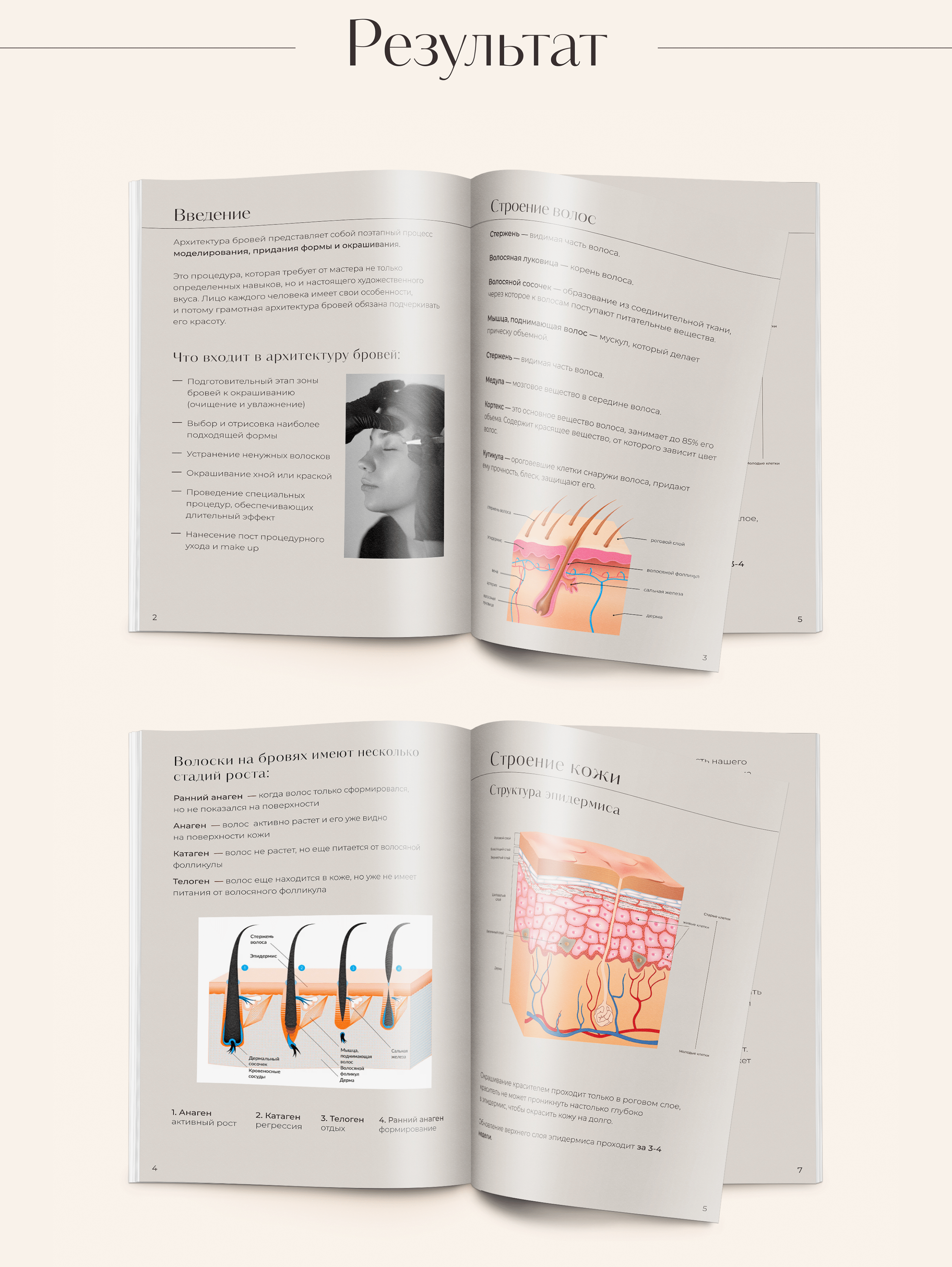 Дизайн методички для бровиста — Изображение №3 — Графика на Dprofile