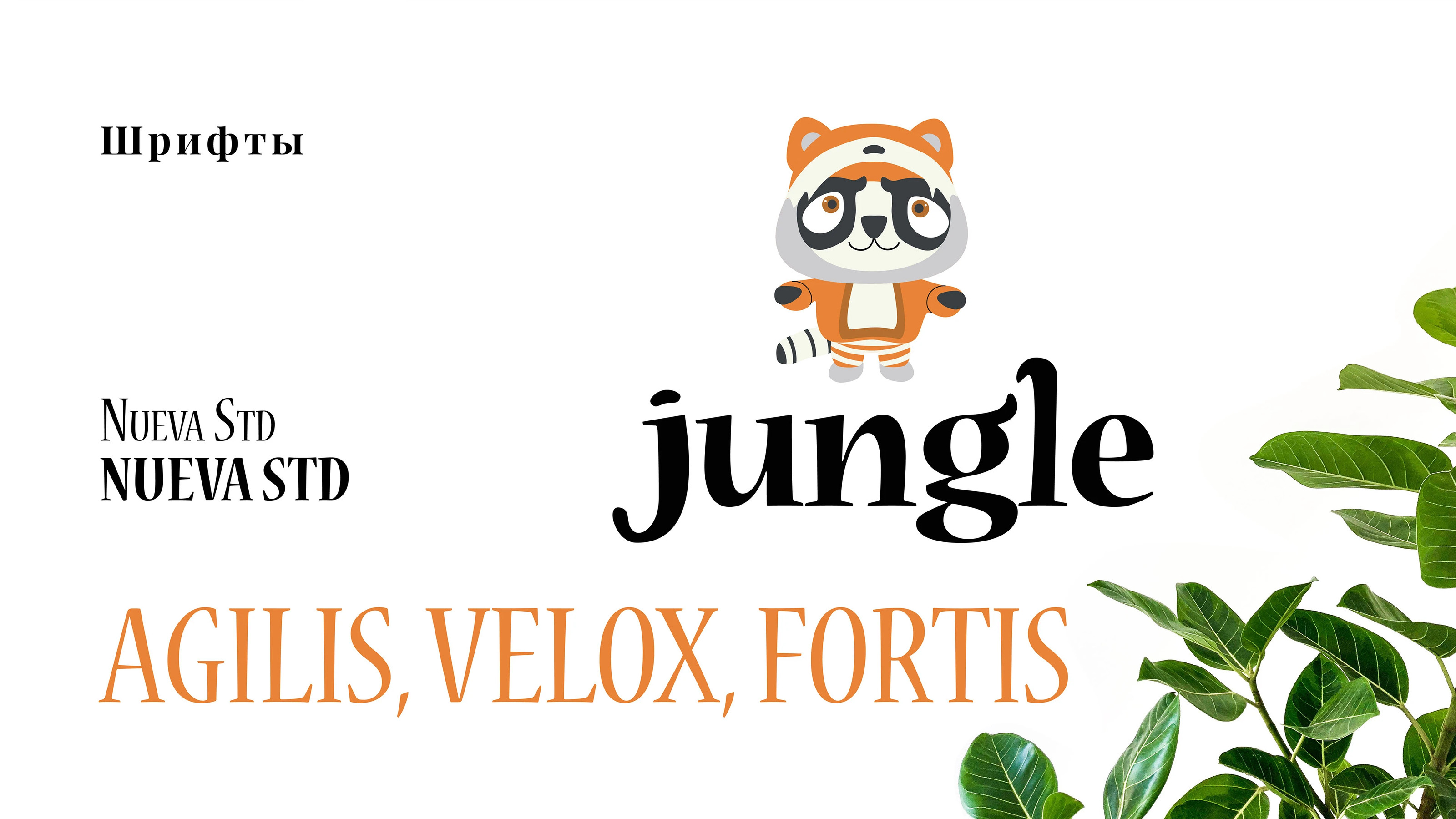 Джунгли — Изображение №6 — Брендинг на Dprofile