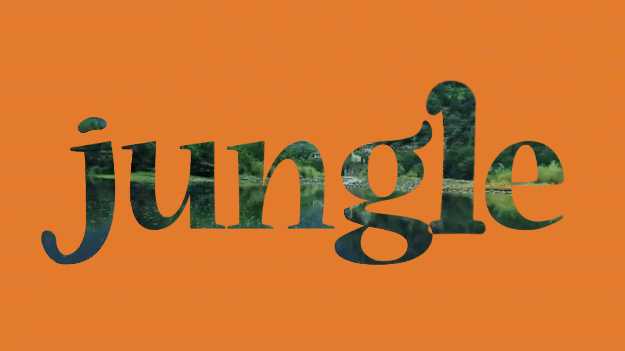Джунгли — Изображение №2 — Брендинг на Dprofile