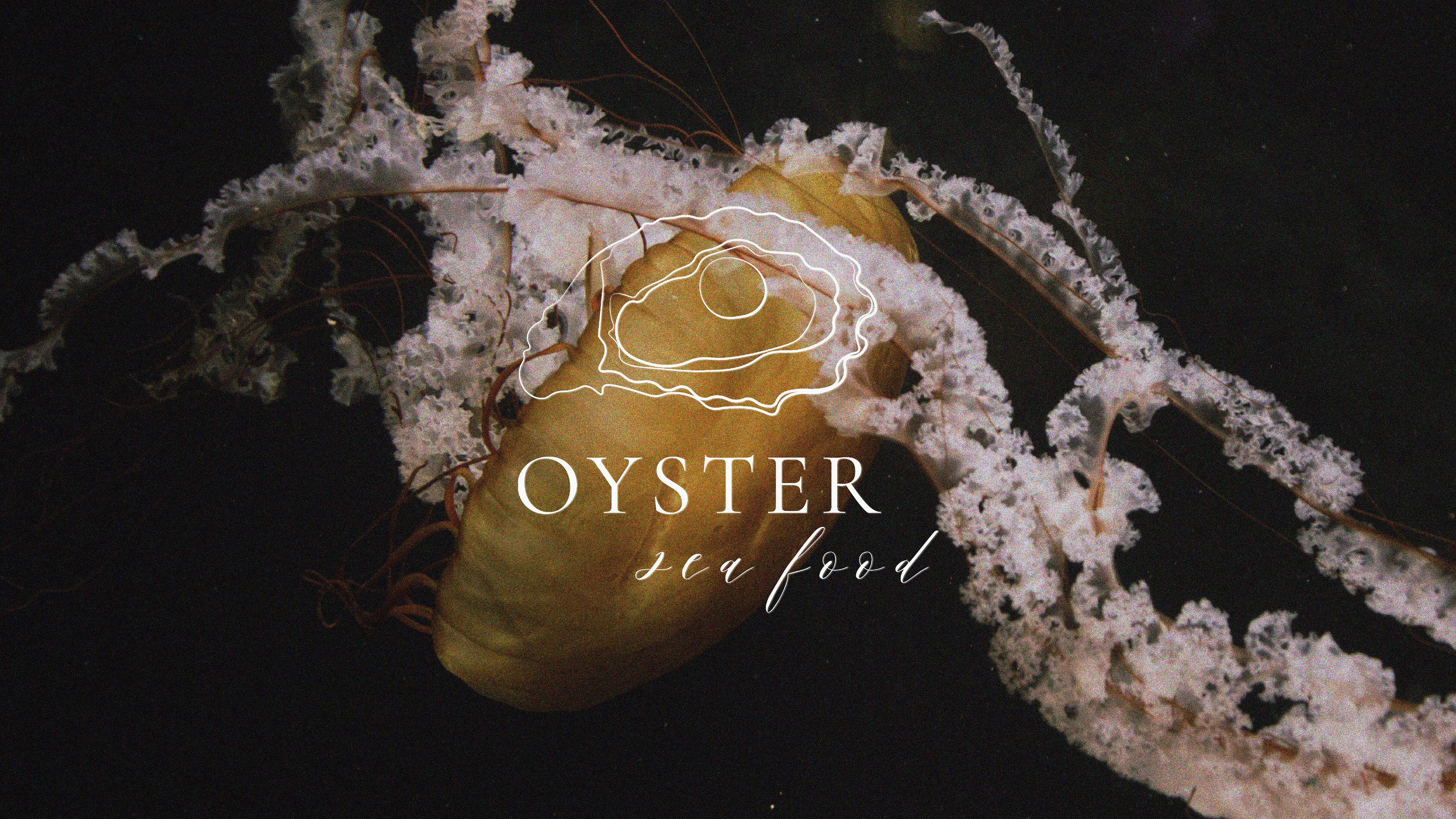 Брендинг для ресторана Oyster — Изображение №1 — Брендинг, Графика на Dprofile