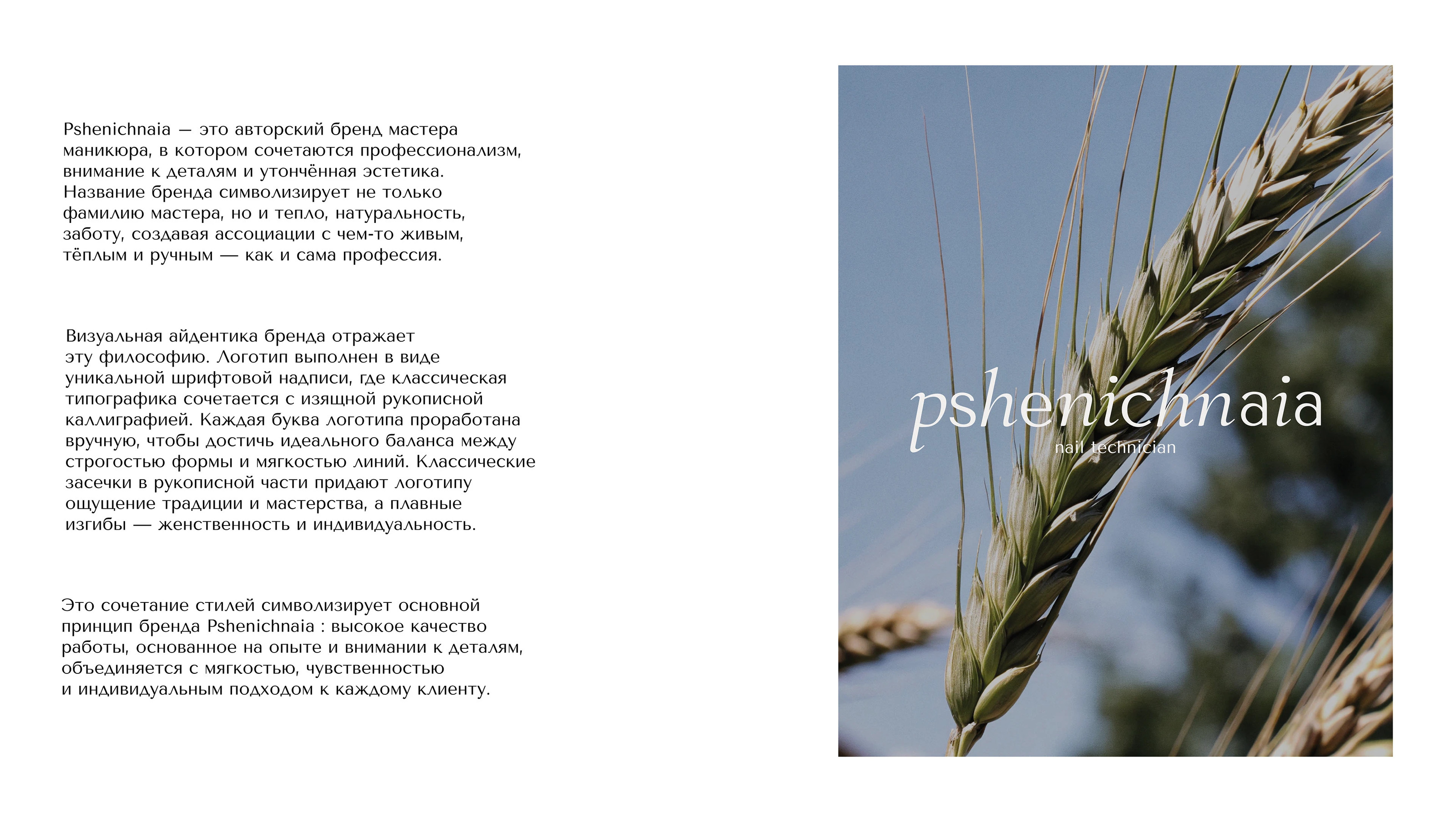 Разработка логотипа Pshenichnaia — Изображение №1 — Брендинг, Маркетинг на Dprofile