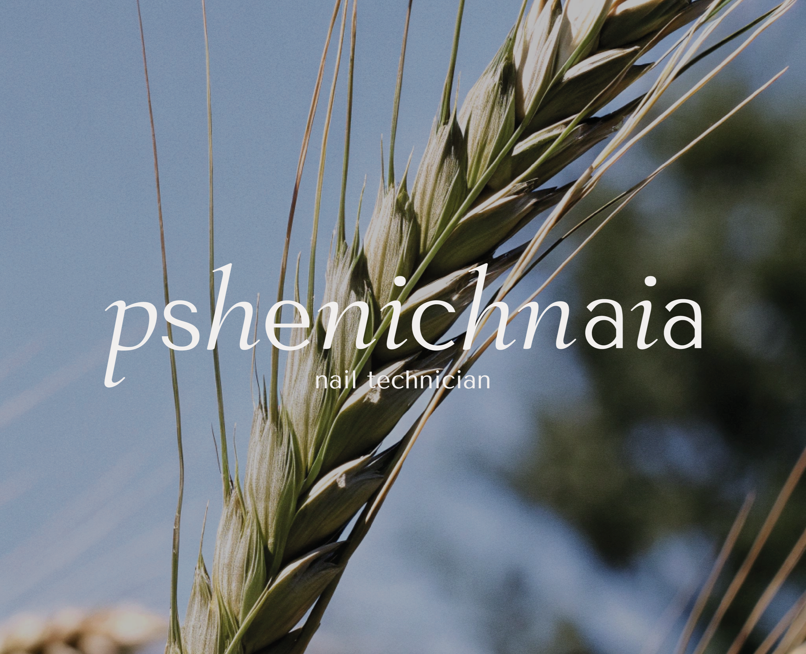 Разработка логотипа Pshenichnaia — Брендинг, Маркетинг на Dprofile