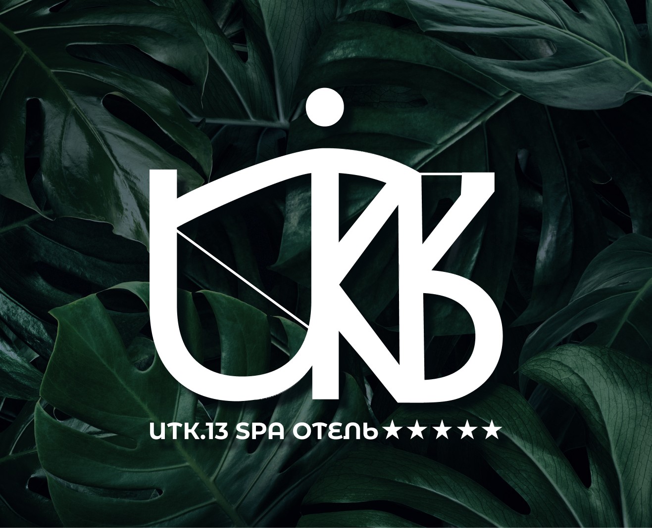 Разработка логотипа, SPA Отель, Logo design, SPA Hotel на Dprofile