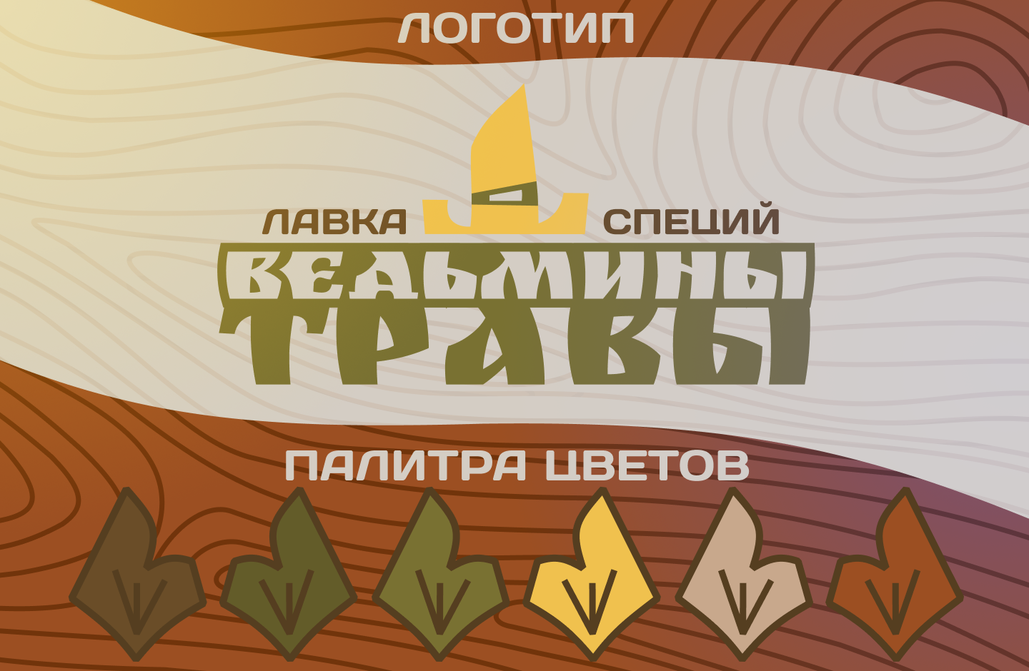 Логотип "Ведьмины травы" — Изображение №2 — Брендинг, Графика на Dprofile