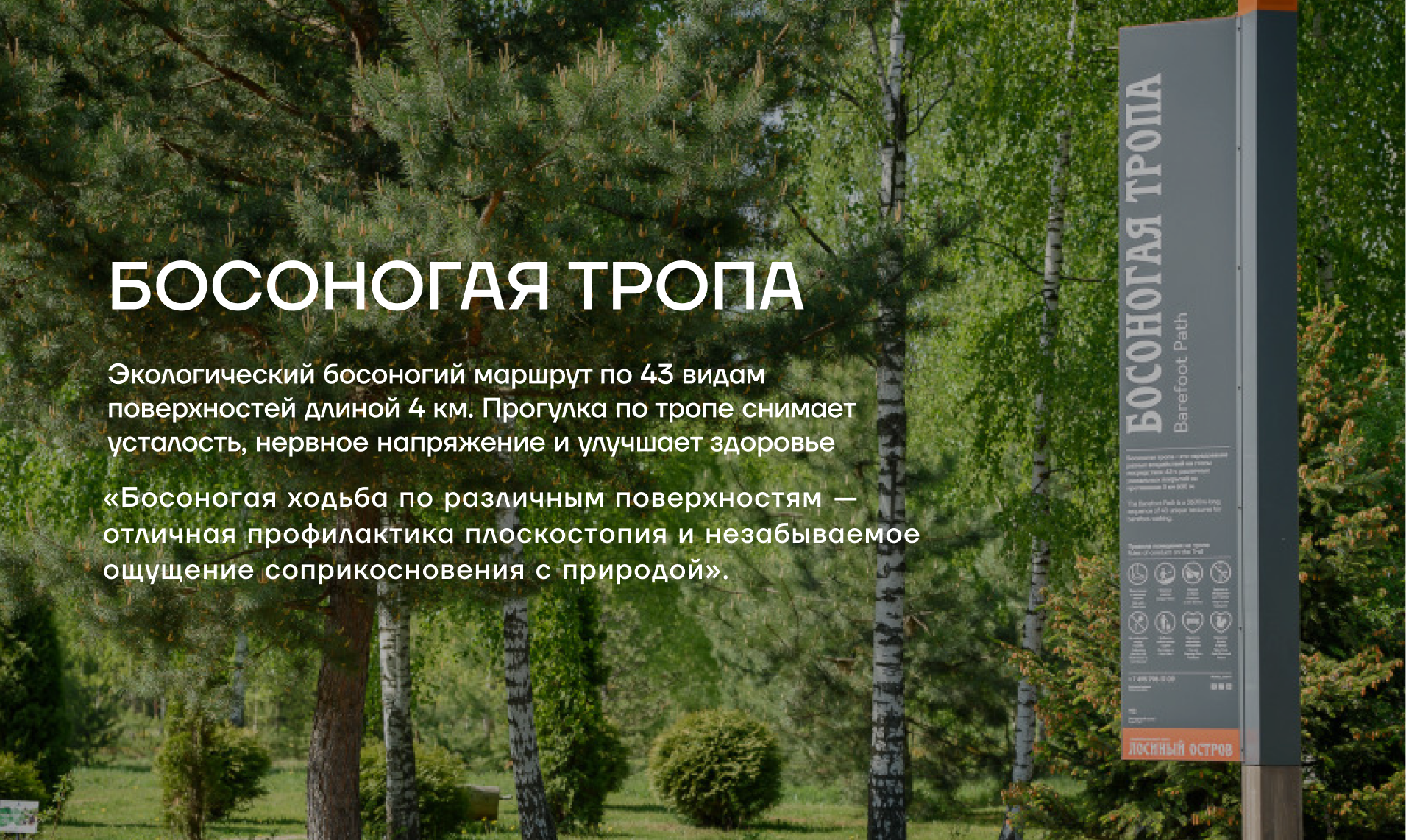 Рекламная кампания Экомаршрута "Босоногая тропа" — Изображение №2 — Брендинг, Маркетинг на Dprofile