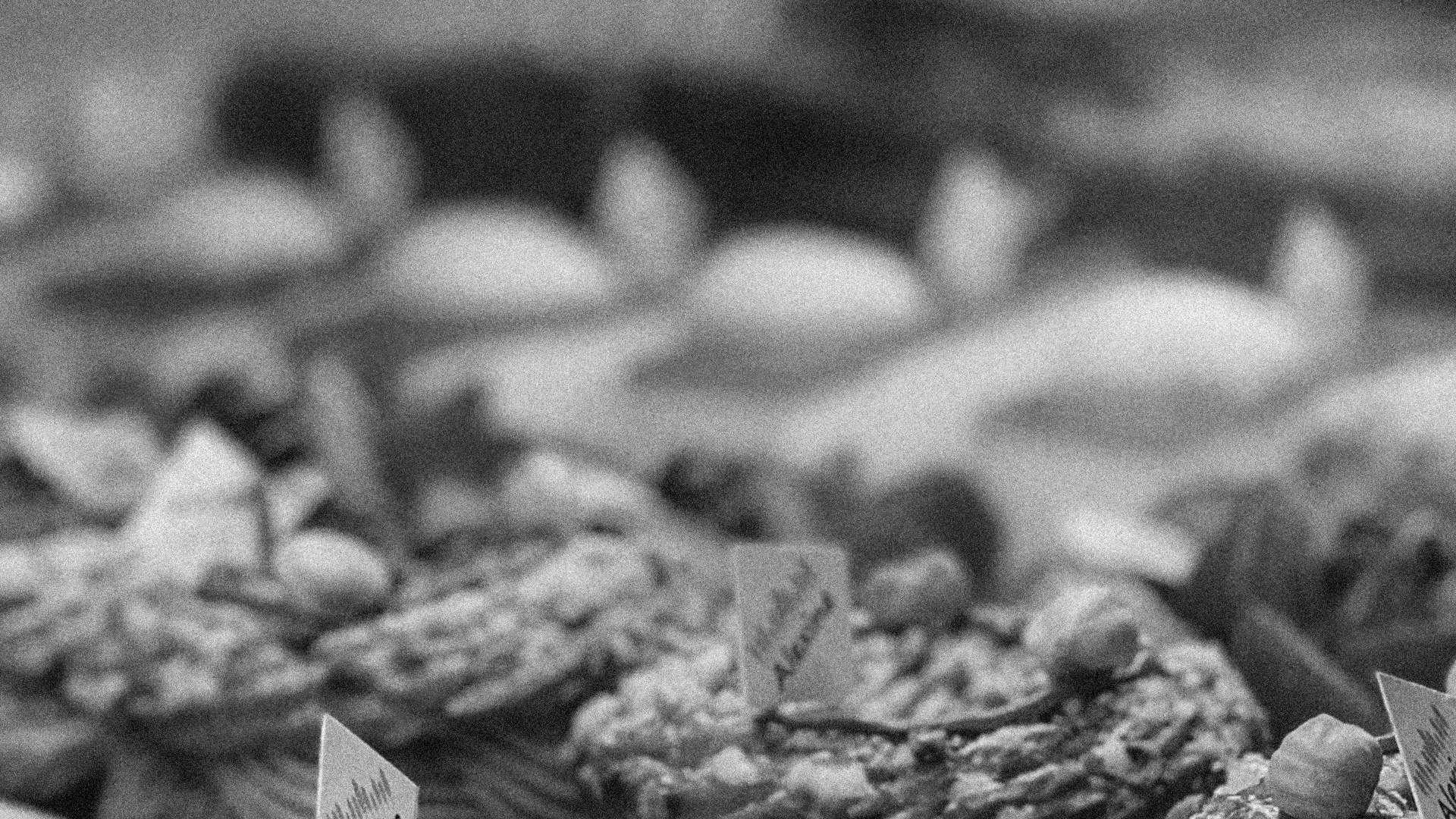 Кондитерский бутик Amande | Фирменный стиль | Логотип — Изображение №12 — Брендинг, Графика на Dprofile