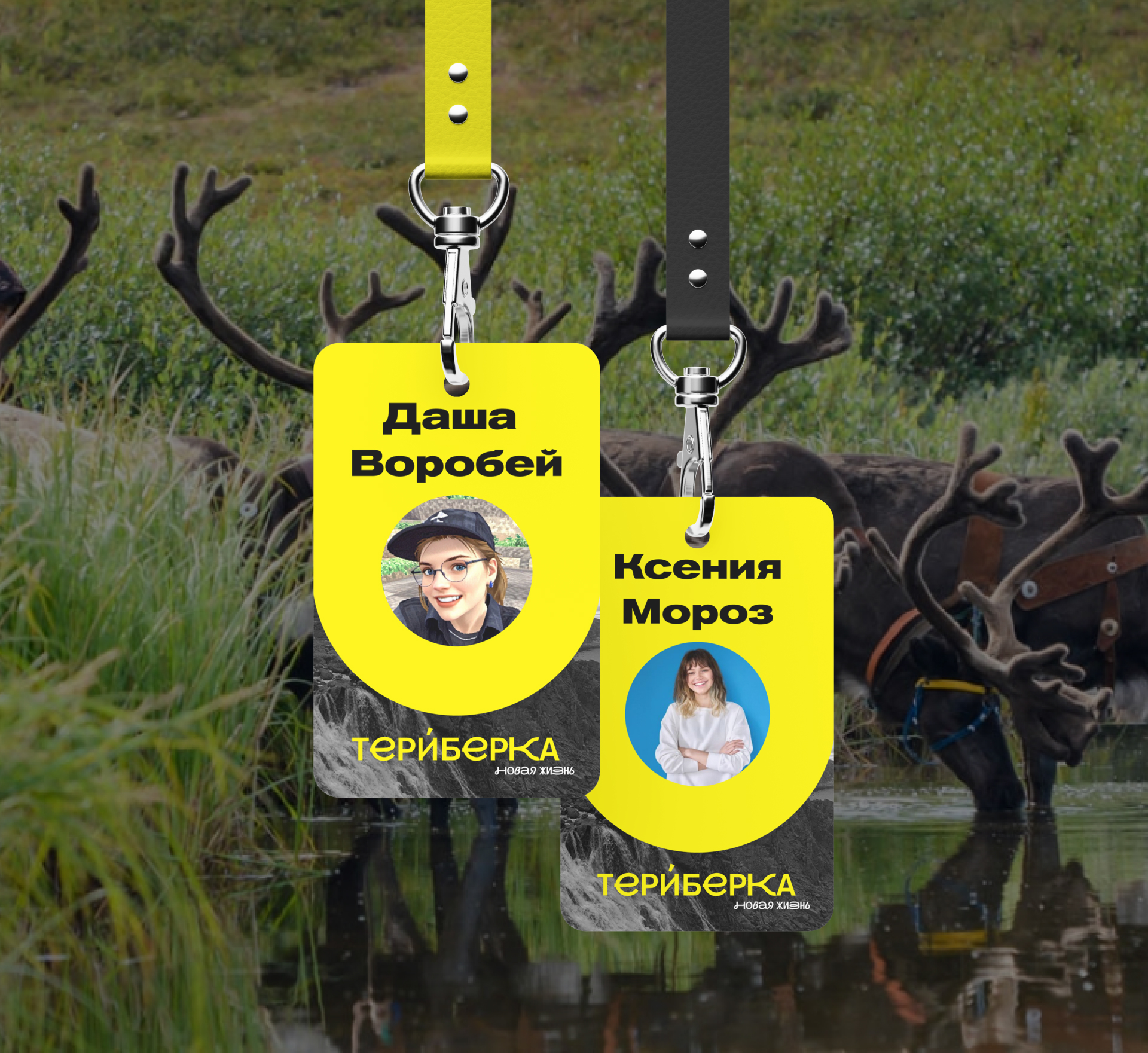Фирменный стиль для фестиваля в Териберке — Изображение №14 — Брендинг на Dprofile
