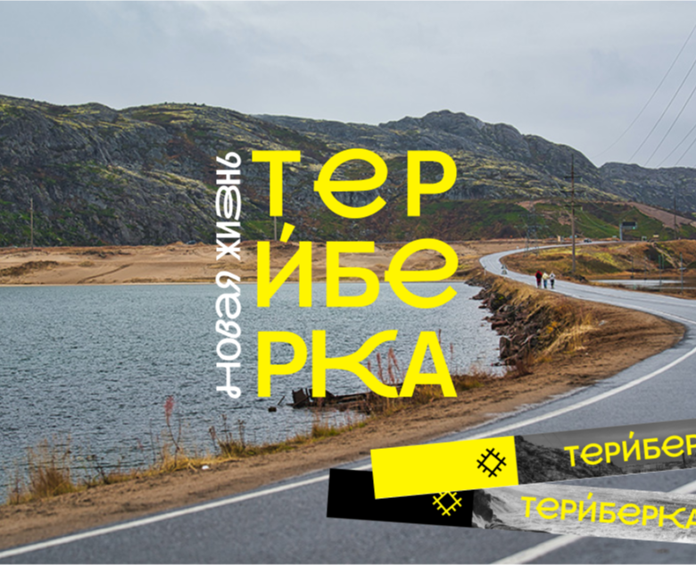 Фирменный стиль для фестиваля в Териберке на Dprofile