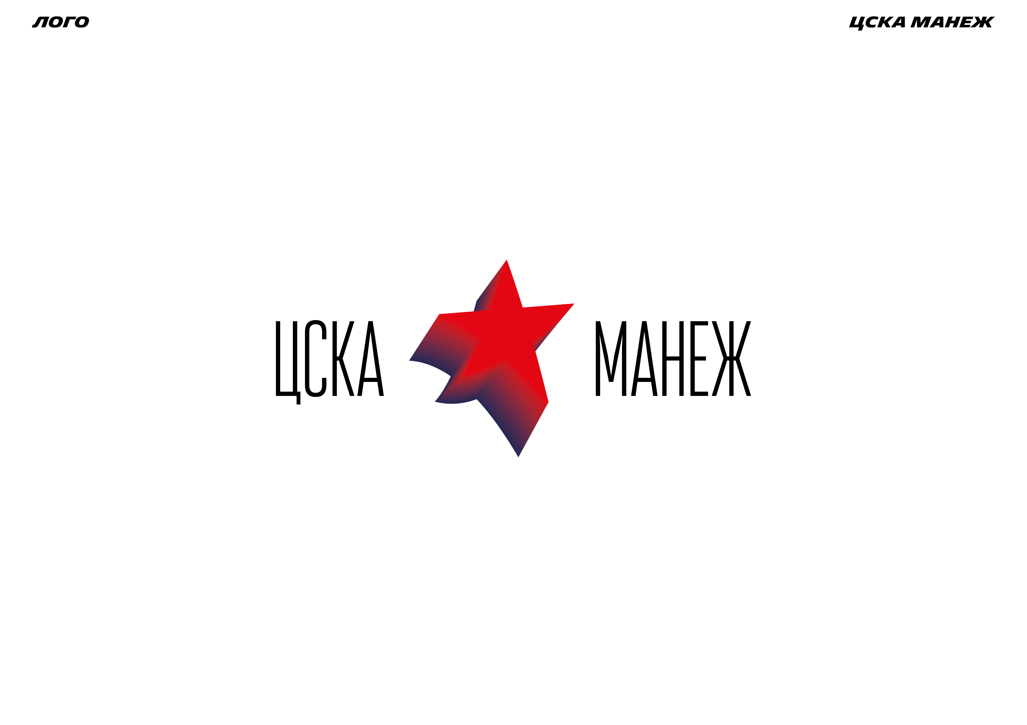 ЦСКА МАНЕЖ — Изображение №5 — Брендинг, Графика на Dprofile