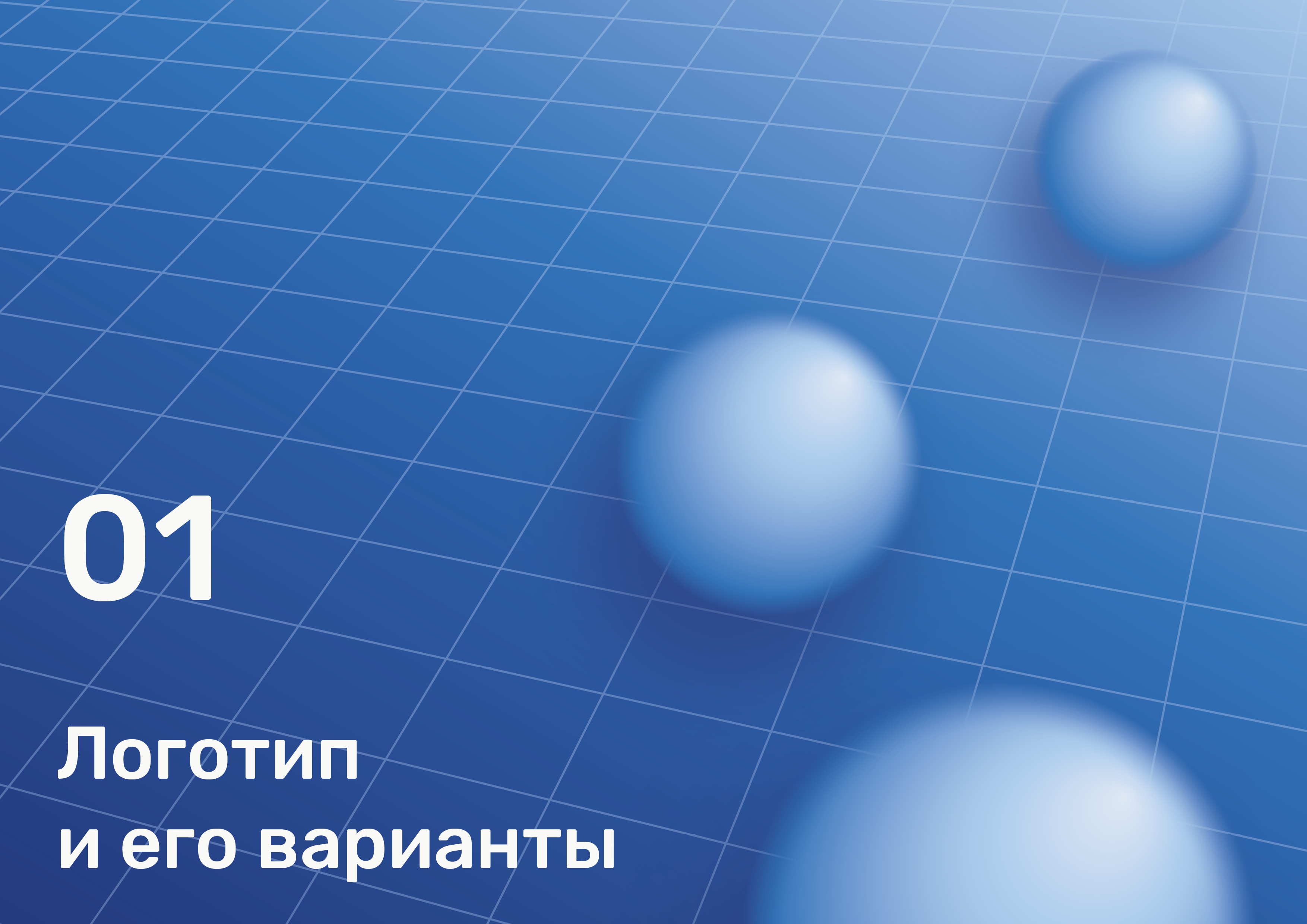 Школа «Дмитровский» — Изображение №4 — Брендинг, Графика на Dprofile