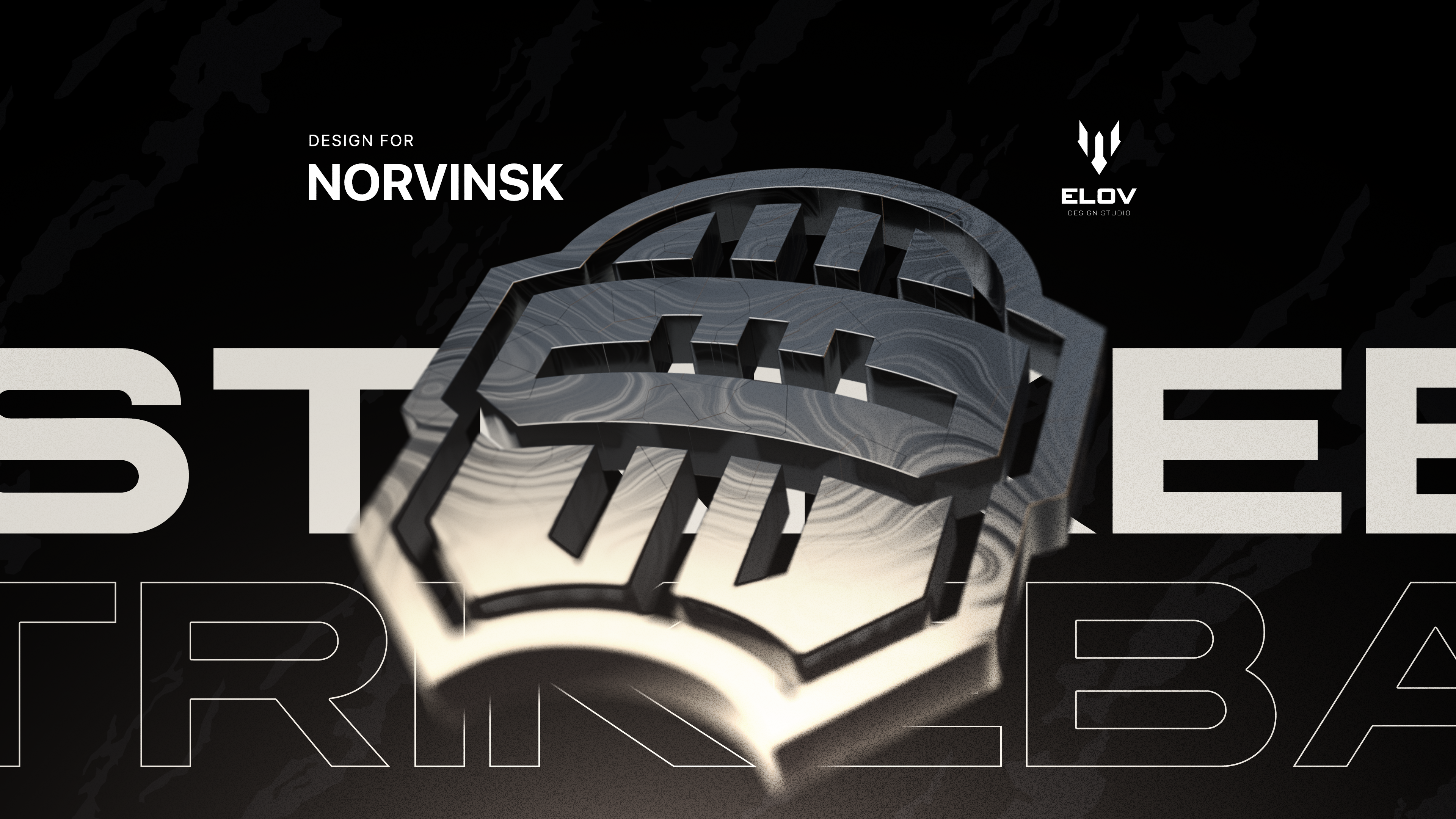 Norvinsk | Strikeball Event — Изображение №1 — Брендинг, Графика на Dprofile