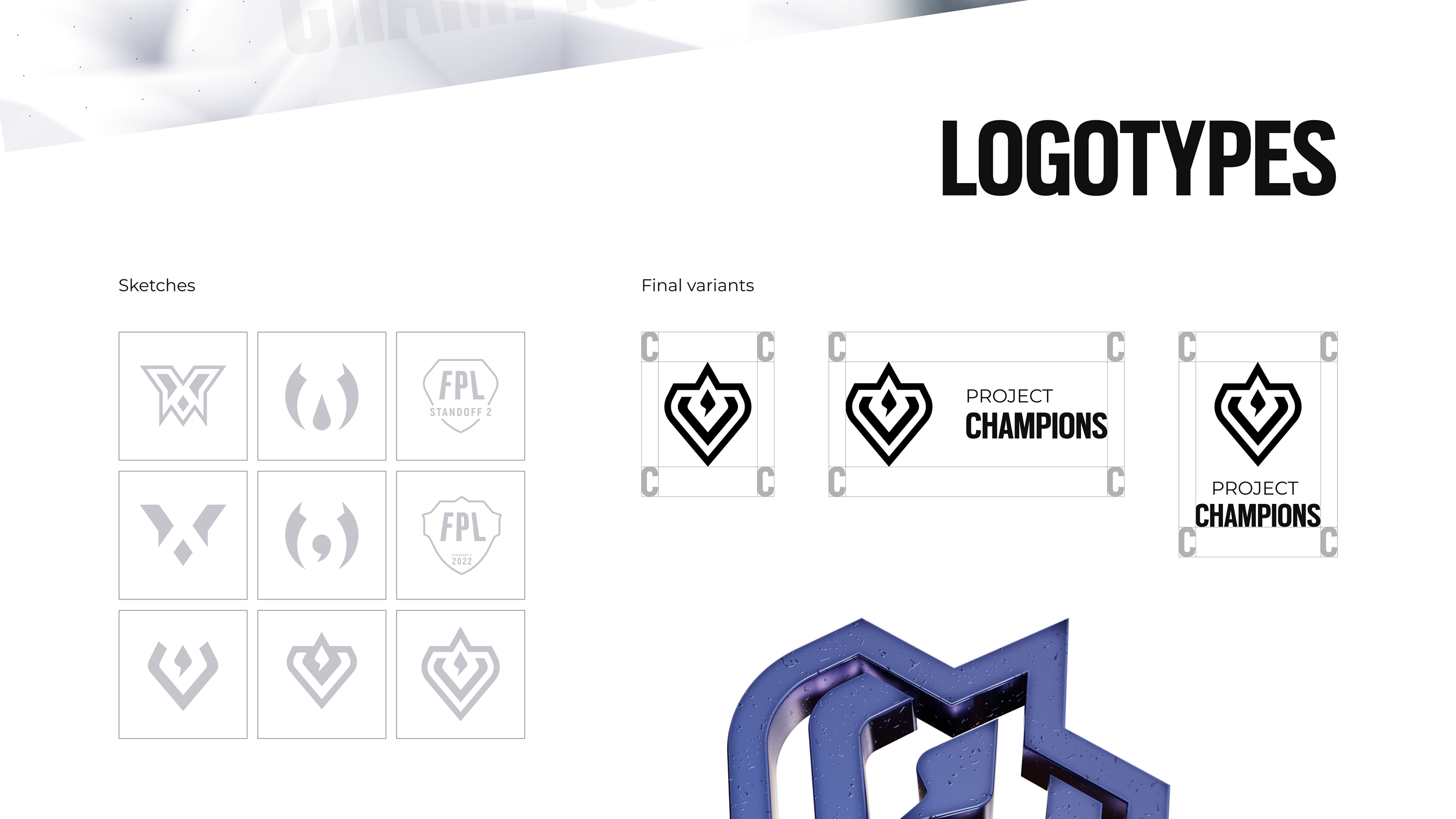 Project Champions | Branding — Изображение №4 — Брендинг, Графика на Dprofile