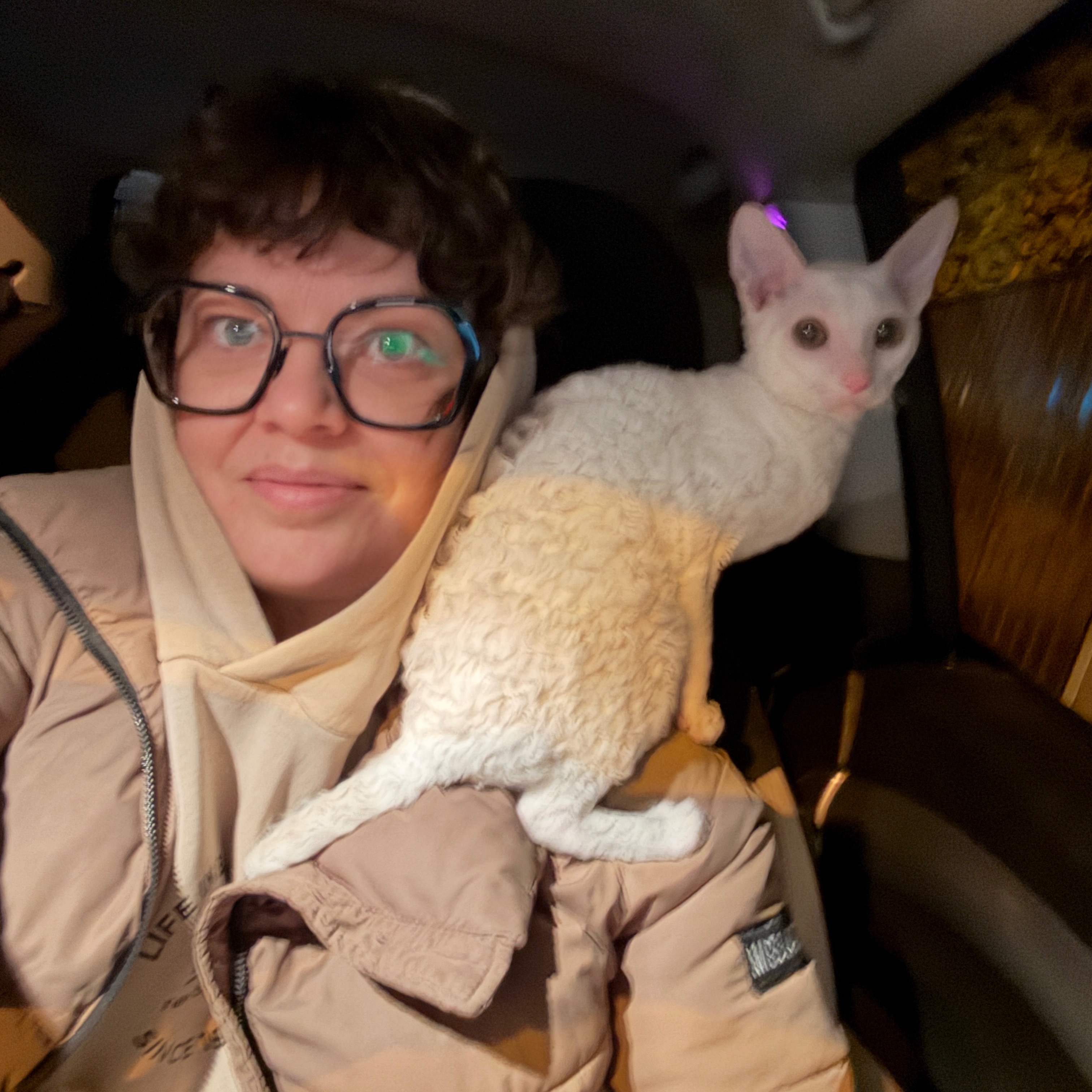 Аватар пользователя EKATERINA SACHAVA