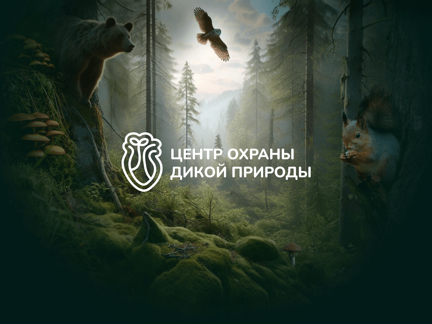 Благотворительный фонд "Центр охраны дикой природы" — Изображение №1 — Брендинг, Анимация на Dprofile