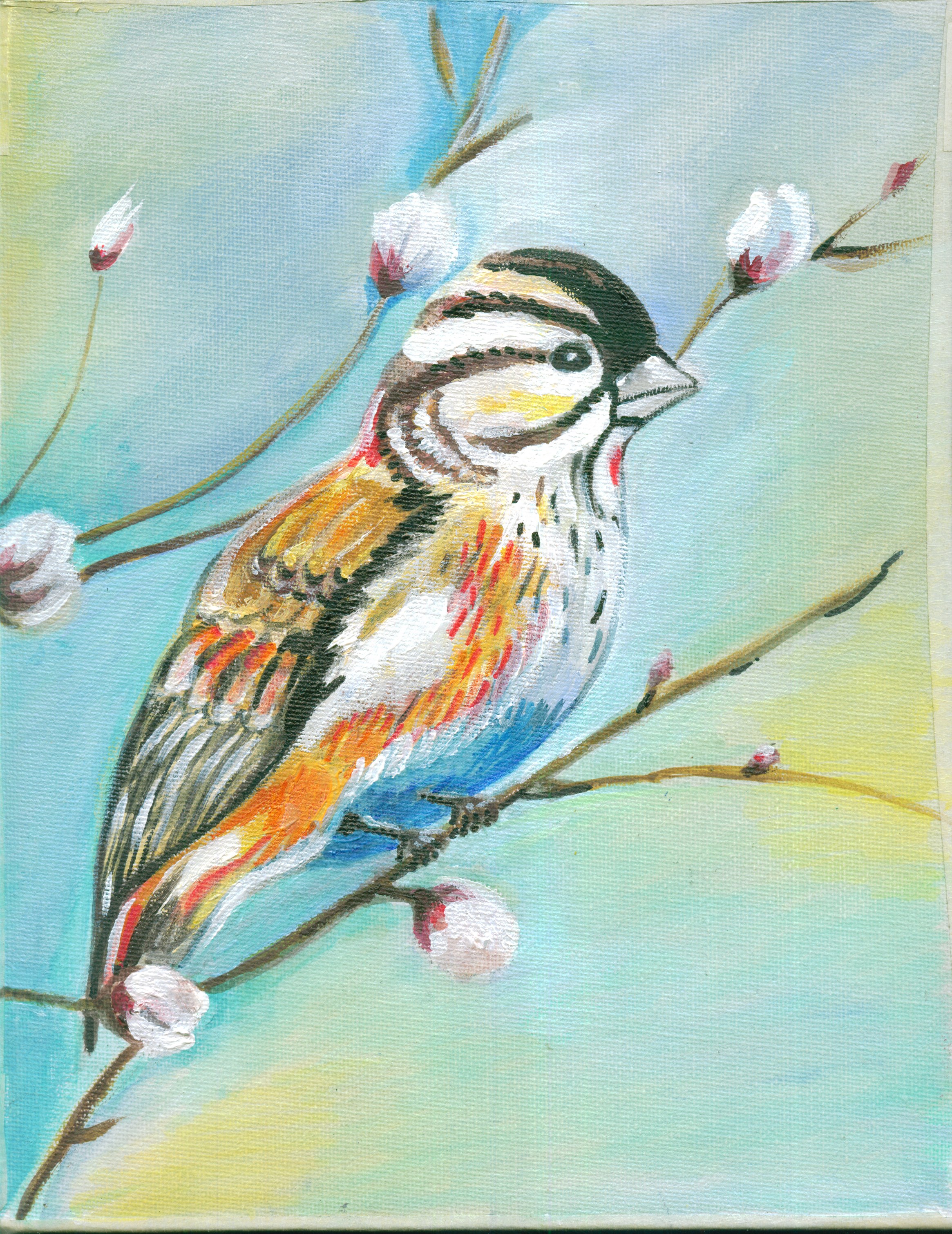 Дитрих. Ветки вербы с птичкой. Акрил. — Изображение №1 — Иллюстрация, Графика на Dprofile