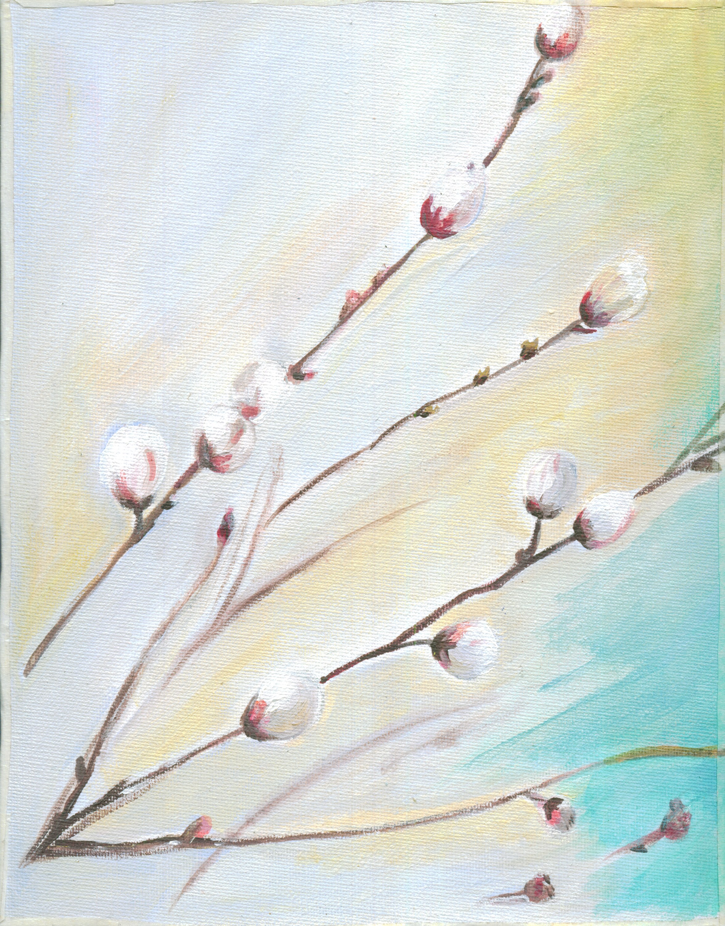 Дитрих. Ветки вербы с птичкой. Акрил. — Изображение №1 — Иллюстрация, Графика на Dprofile